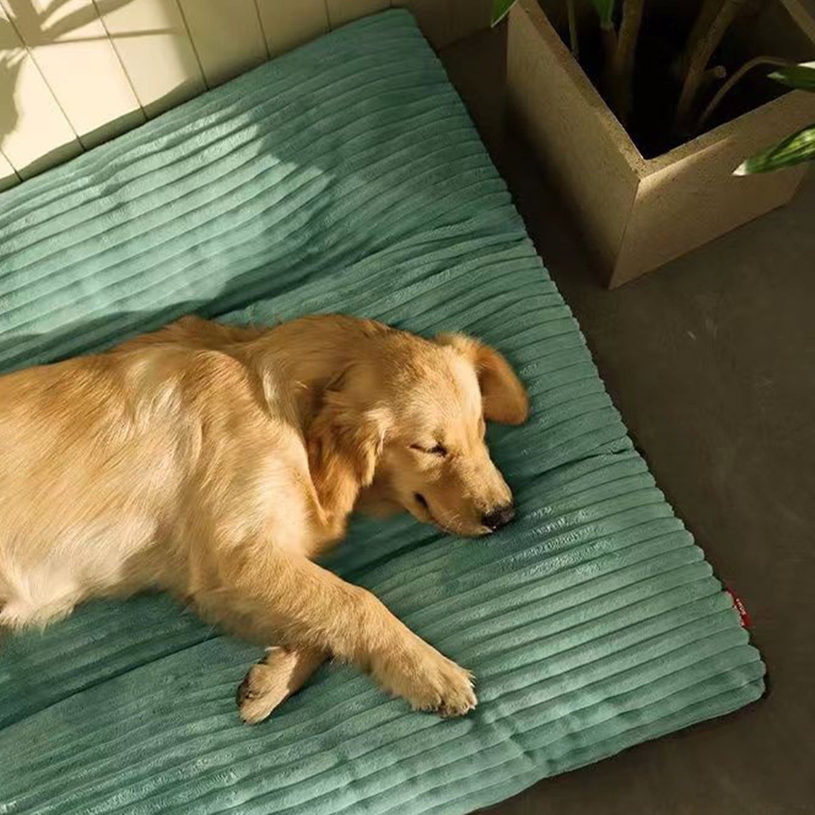 Dog Bed Washable with Removable Cover , Flannel Dog Crate Beds for Large Medium Small Dogs Cats, Pet Beds Kennel Pad 23.6 inch x 18.5 inch