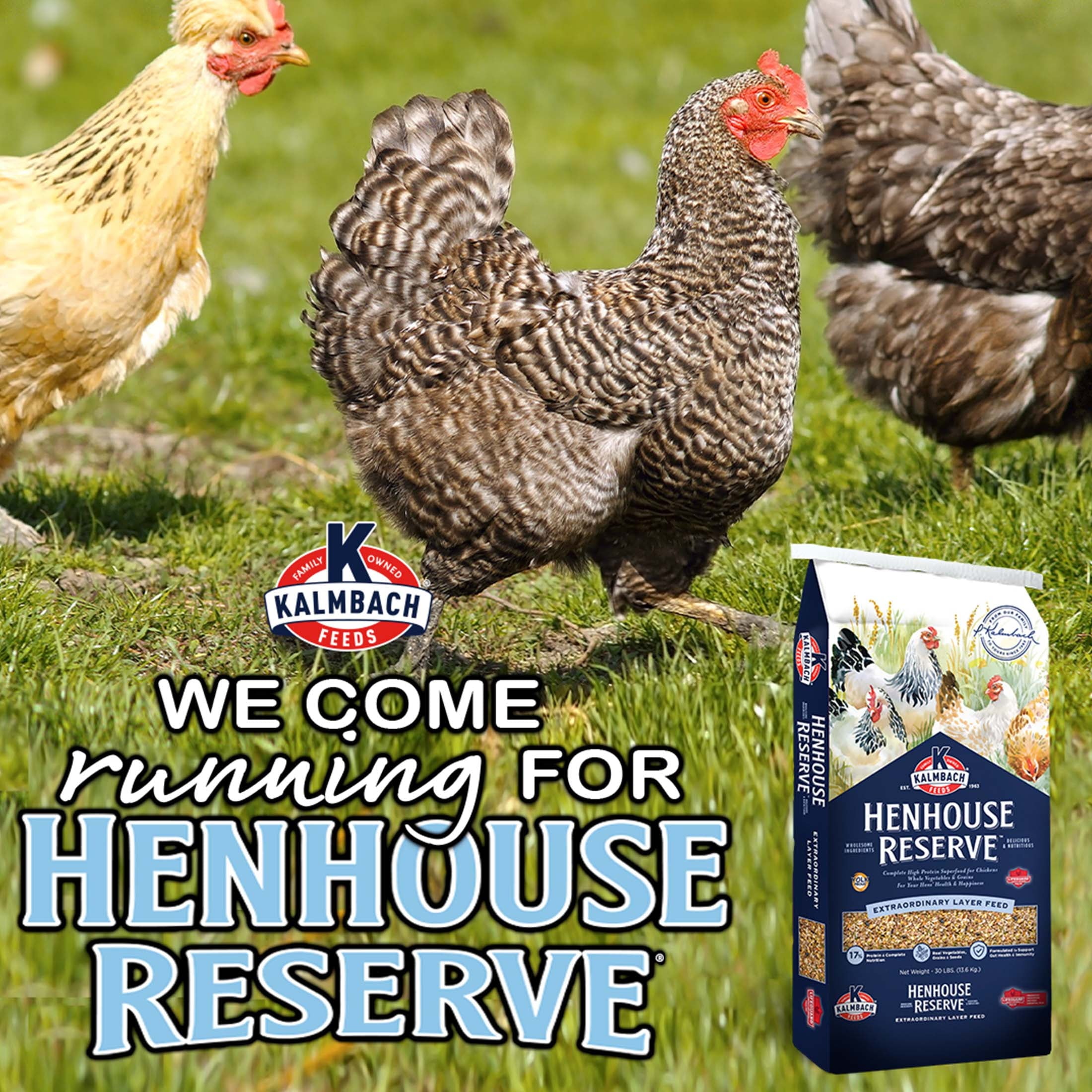 Henhouse Reserve - Extraordinary Whole Grain Layer Feed for Chickens, 30 lb