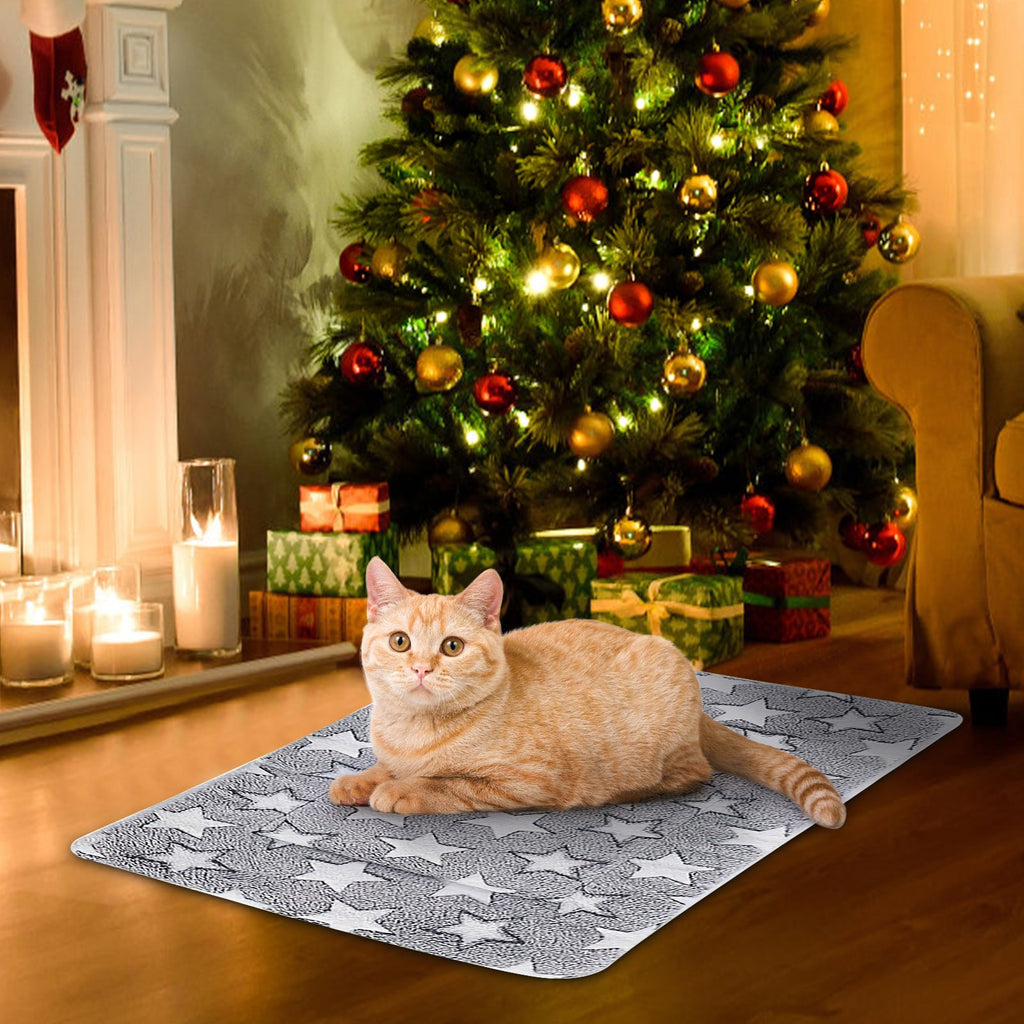 Cats Bed Cats Cushion Winter Thick Mattress Pet Sleeping Pad Indoor Cats Bed Comfy Pet Bed Suitable for Small Cats and Dogs 16.2x9.8in