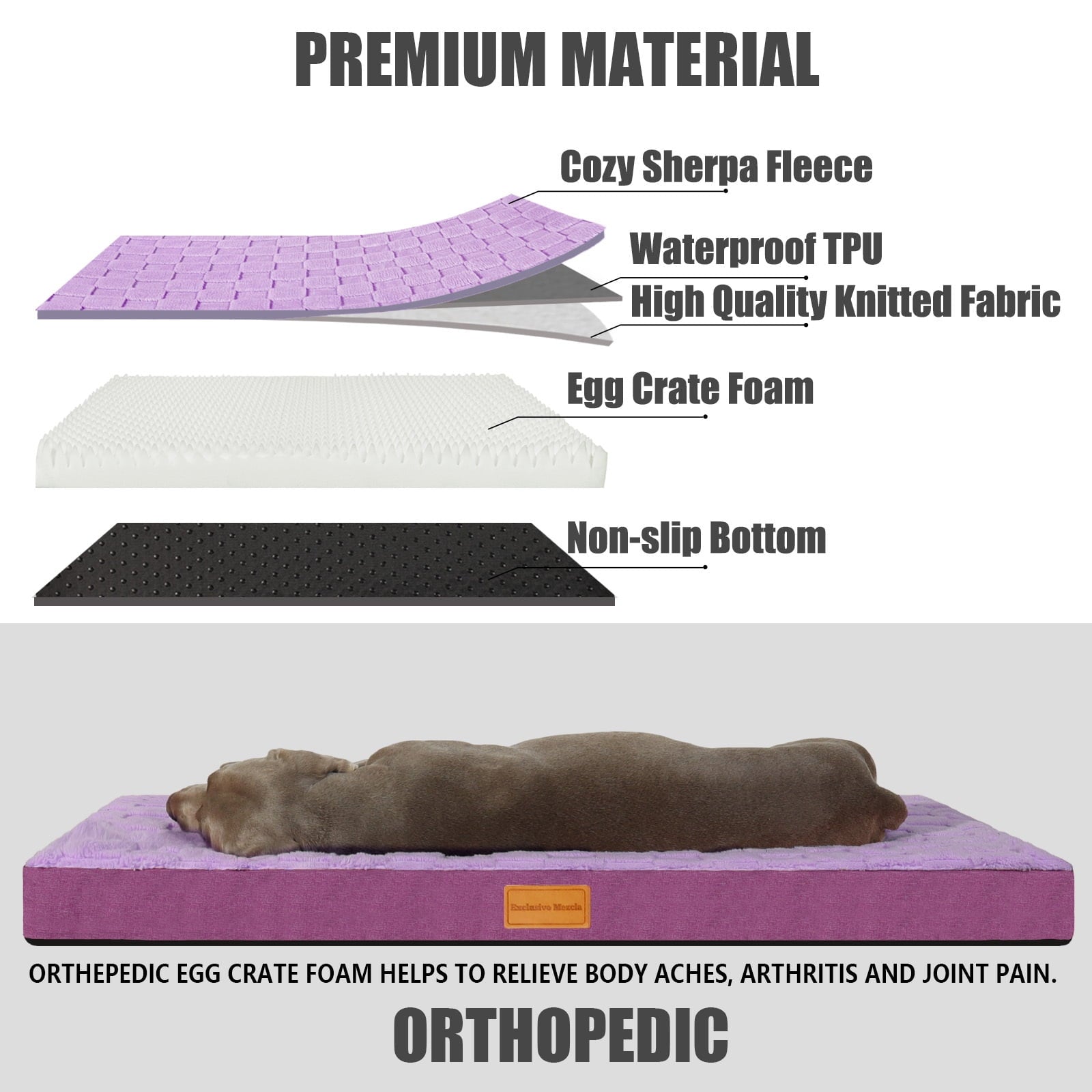 Checkered Pet Bed for Medium Dogs 36"X24", Removable Washable Cover, Black