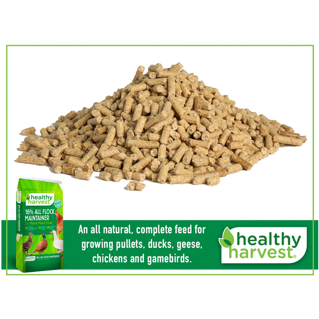 16% All Natural Flock Maintainer Pellets for Feeding Mixed Flocks of Poultry, 40 lb