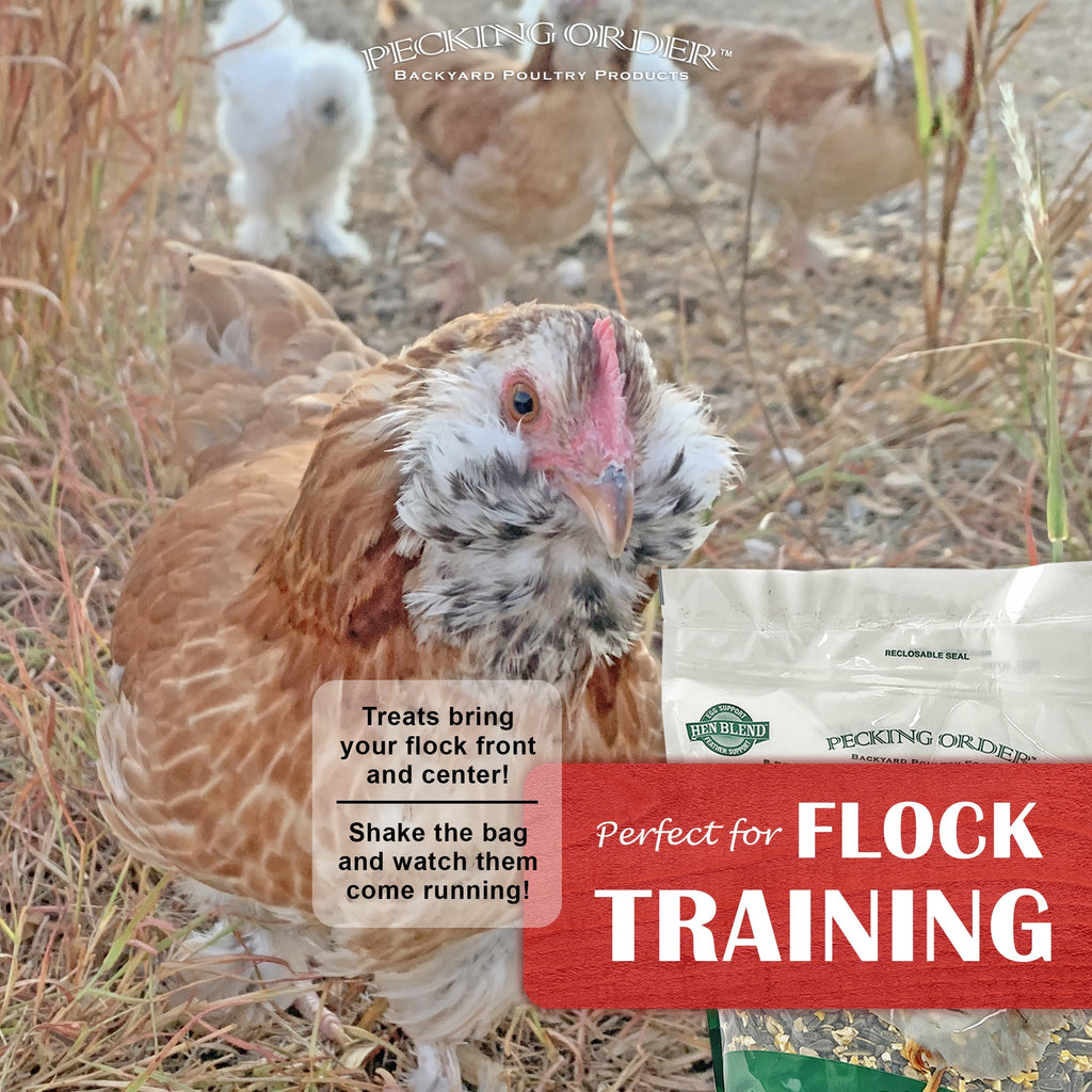 Red River Commodities Pecking Order Mealworm &amp; Sunflower Chicken Treat; 3 lb. Bag