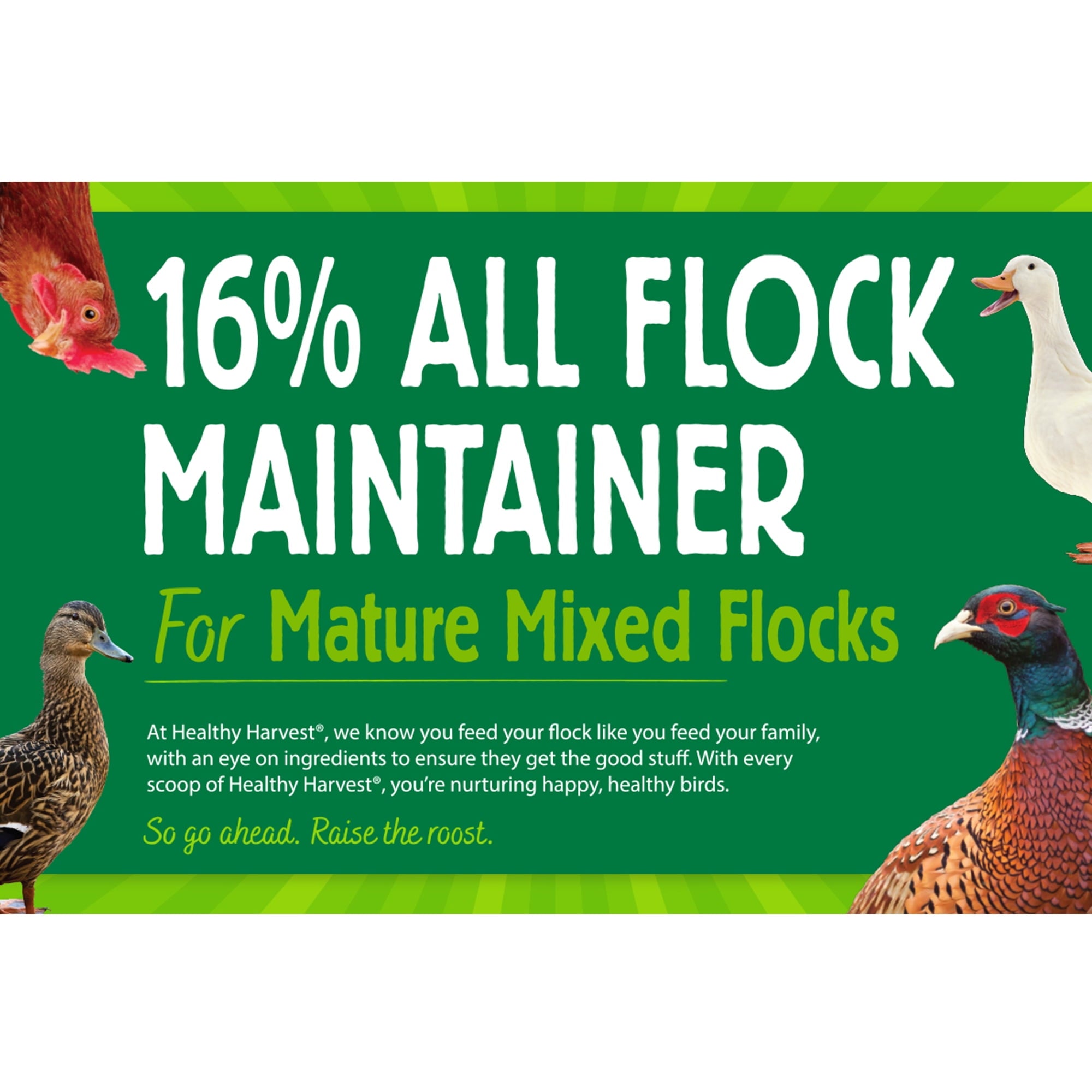 16% All Natural Flock Maintainer Pellets for Feeding Mixed Flocks of Poultry, 40 lb