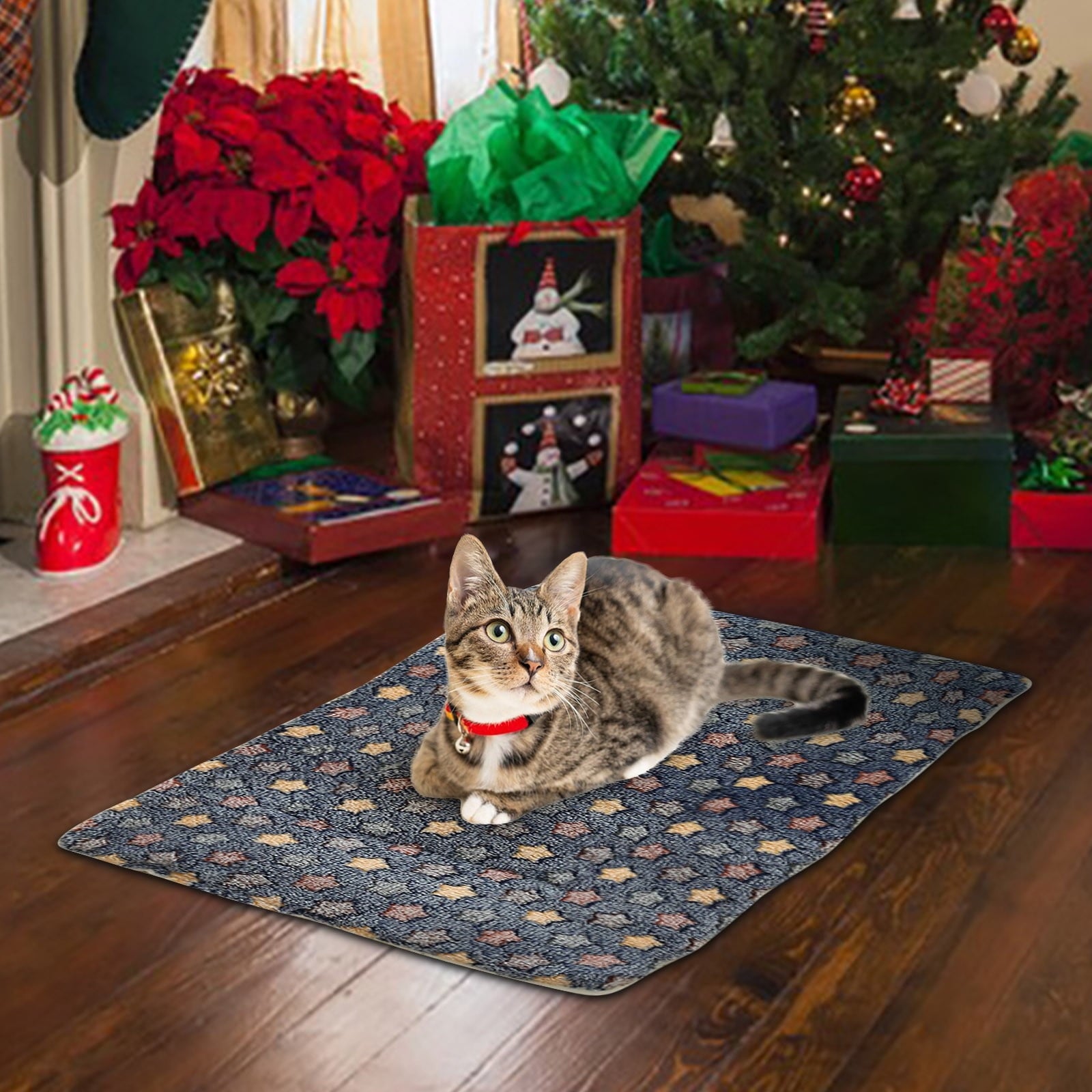 Cats Bed Cats Cushion Winter Thick Mattress Pet Sleeping Pad Indoor Cats Bed Comfy Pet Bed Suitable for Small Cats and Dogs 16.2x9.8in