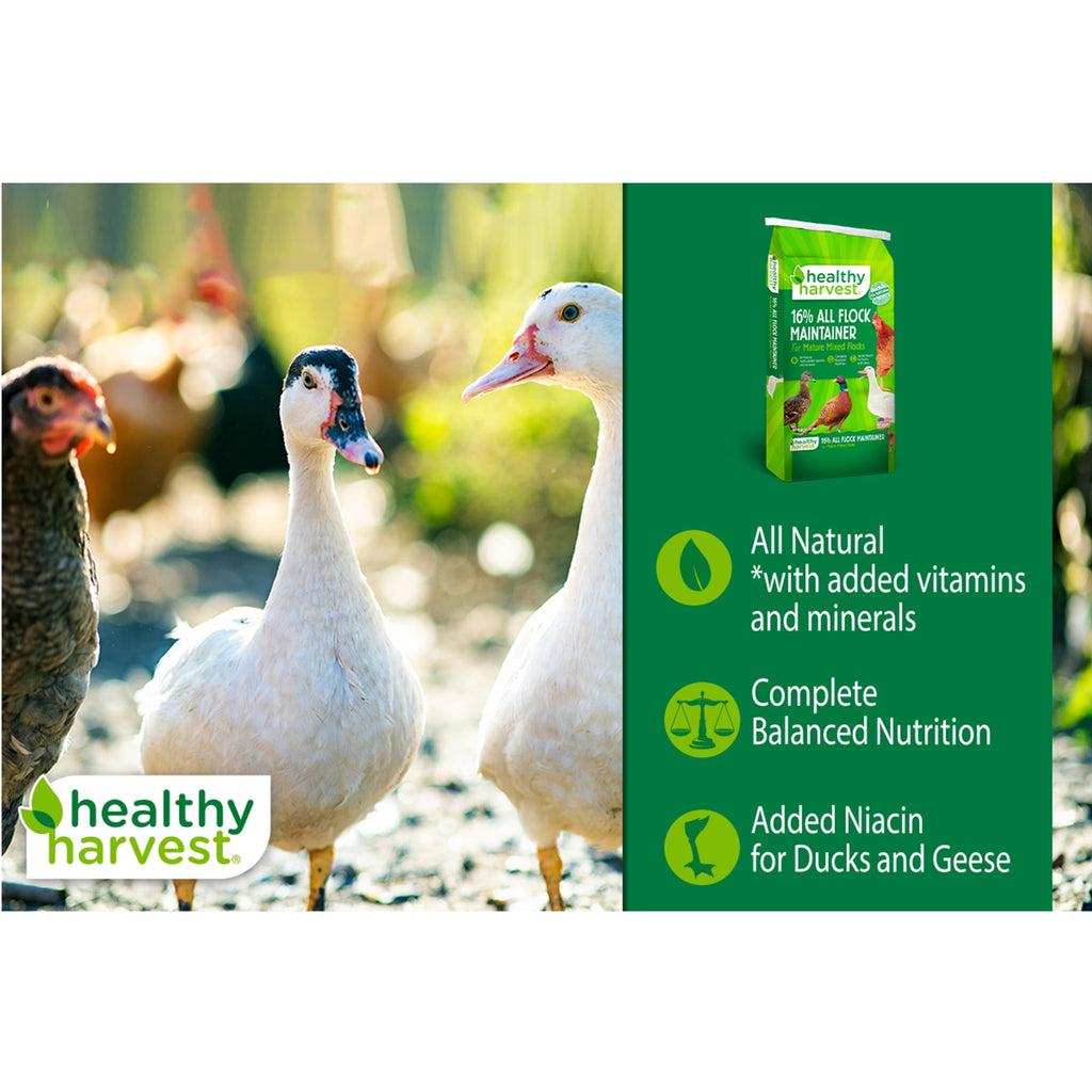 16% All Natural Flock Maintainer Pellets for Feeding Mixed Flocks of Poultry, 40 lb