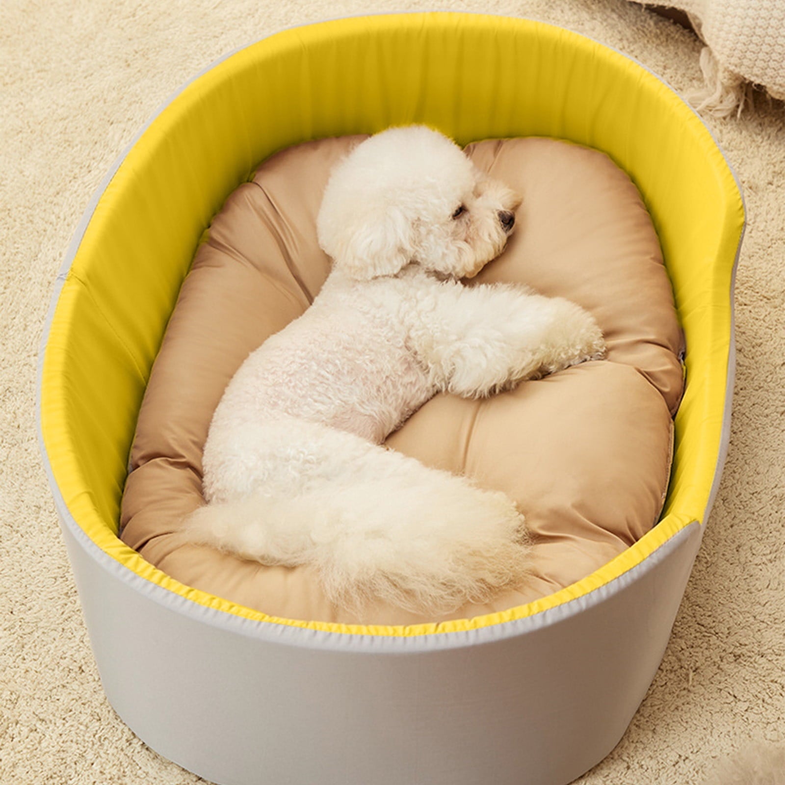 Clearance Dog Bed Medium Size Dogs, Cat Beds for Indoor Cats, Pet Bed for Puppy and Kitty, Washable, Extra , Anti-Slip Bottom