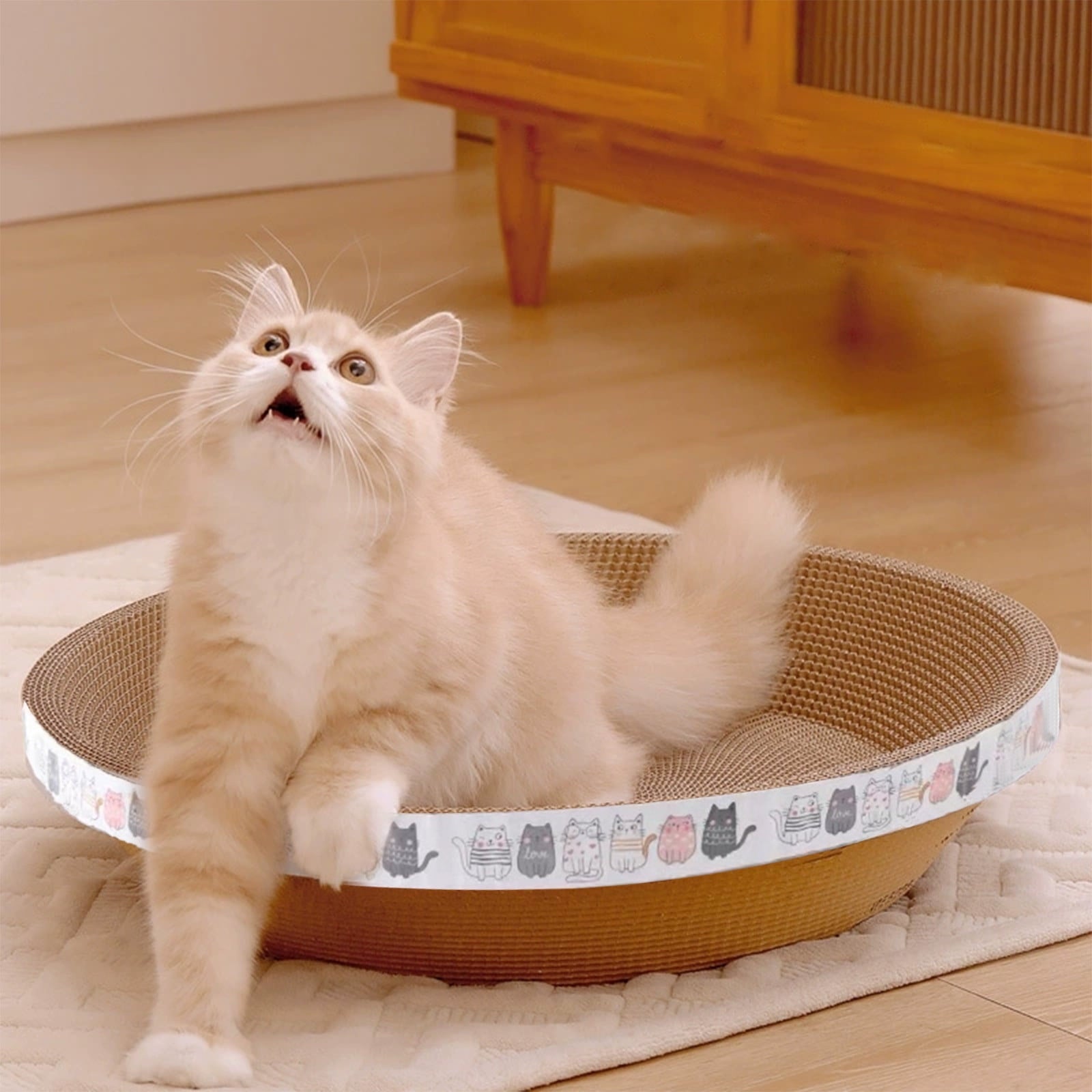 Clearance Dog Bed Medium Size Dogs, Cat Beds for Indoor Cats, Pet Bed for Puppy and Kitty, Washable, Extra , Anti-Slip Bottom