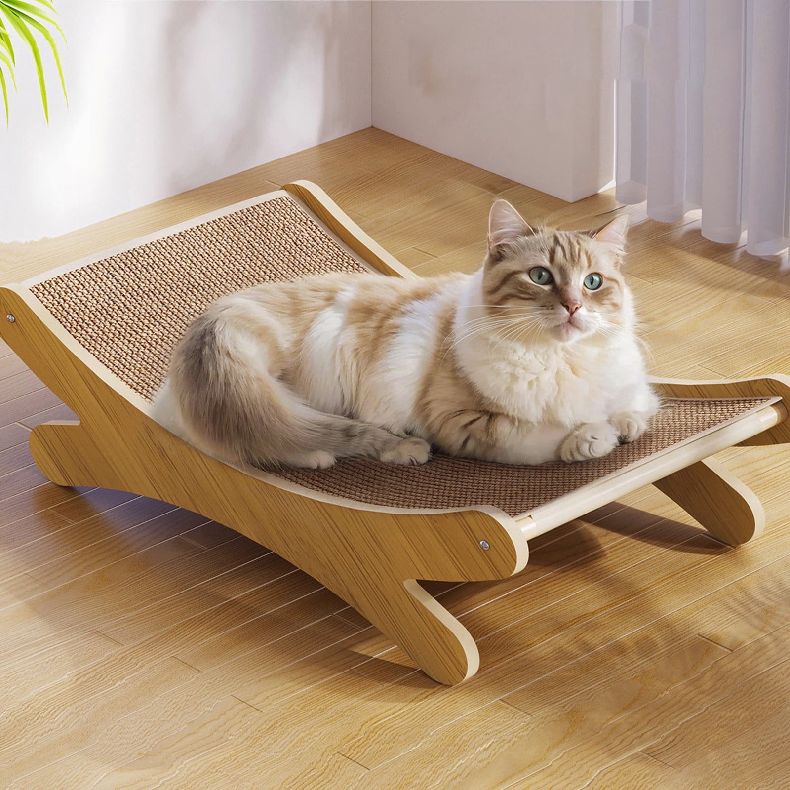 Clearance Dog Bed Medium Size Dogs, Cat Beds for Indoor Cats, Pet Bed for Puppy and Kitty, Washable, Extra , Anti-Slip Bottom