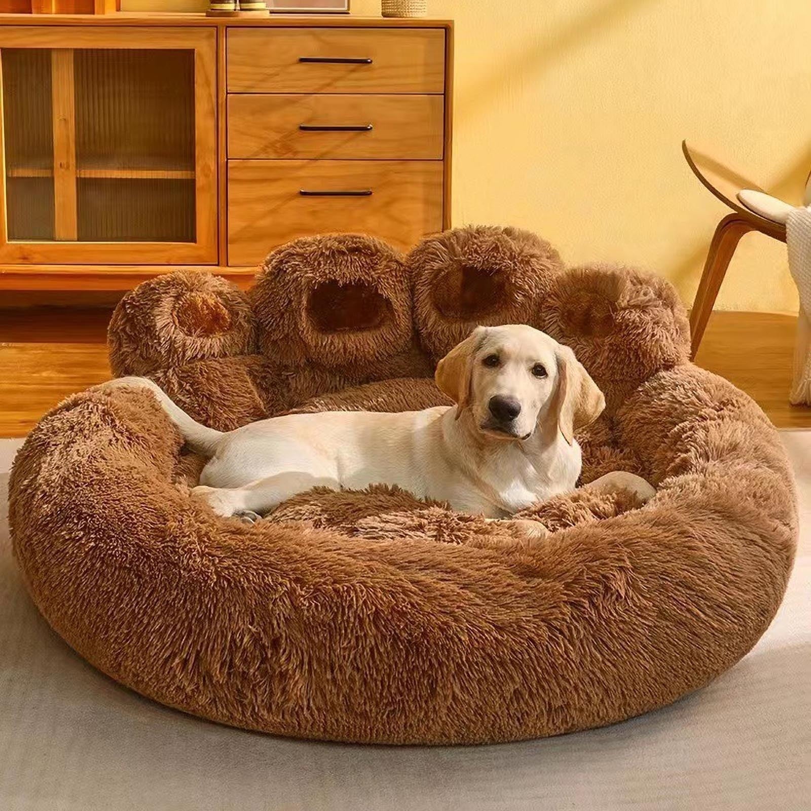 Clearance Dog Bed Medium Size Dogs, Cat Beds for Indoor Cats, Pet Bed for Puppy and Kitty, Washable, Extra , Anti-Slip Bottom