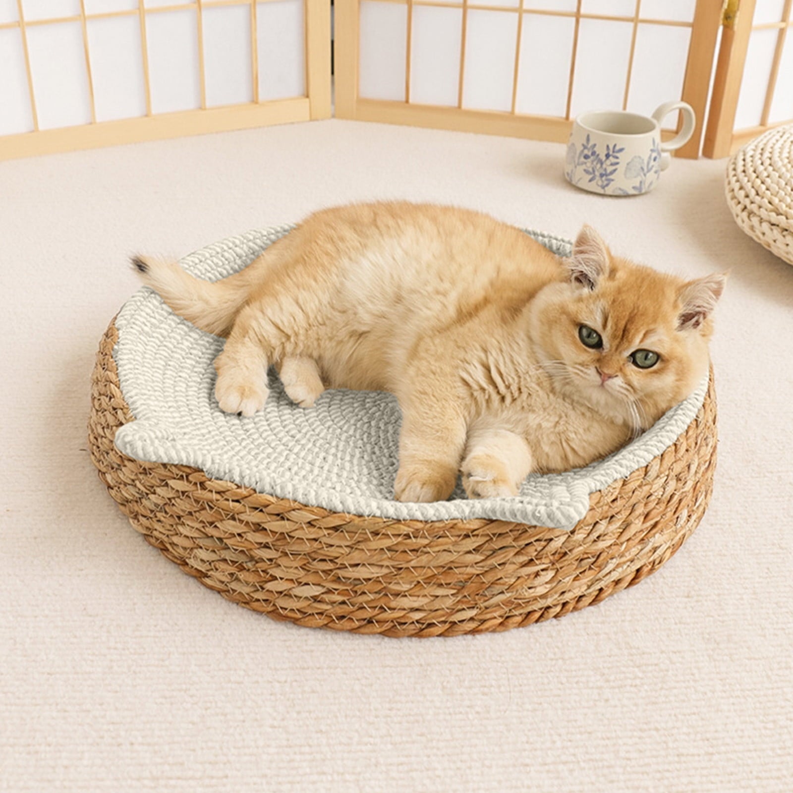 Clearance Dog Bed Medium Size Dogs, Cat Beds for Indoor Cats, Pet Bed for Puppy and Kitty, Washable, Extra , Anti-Slip Bottom