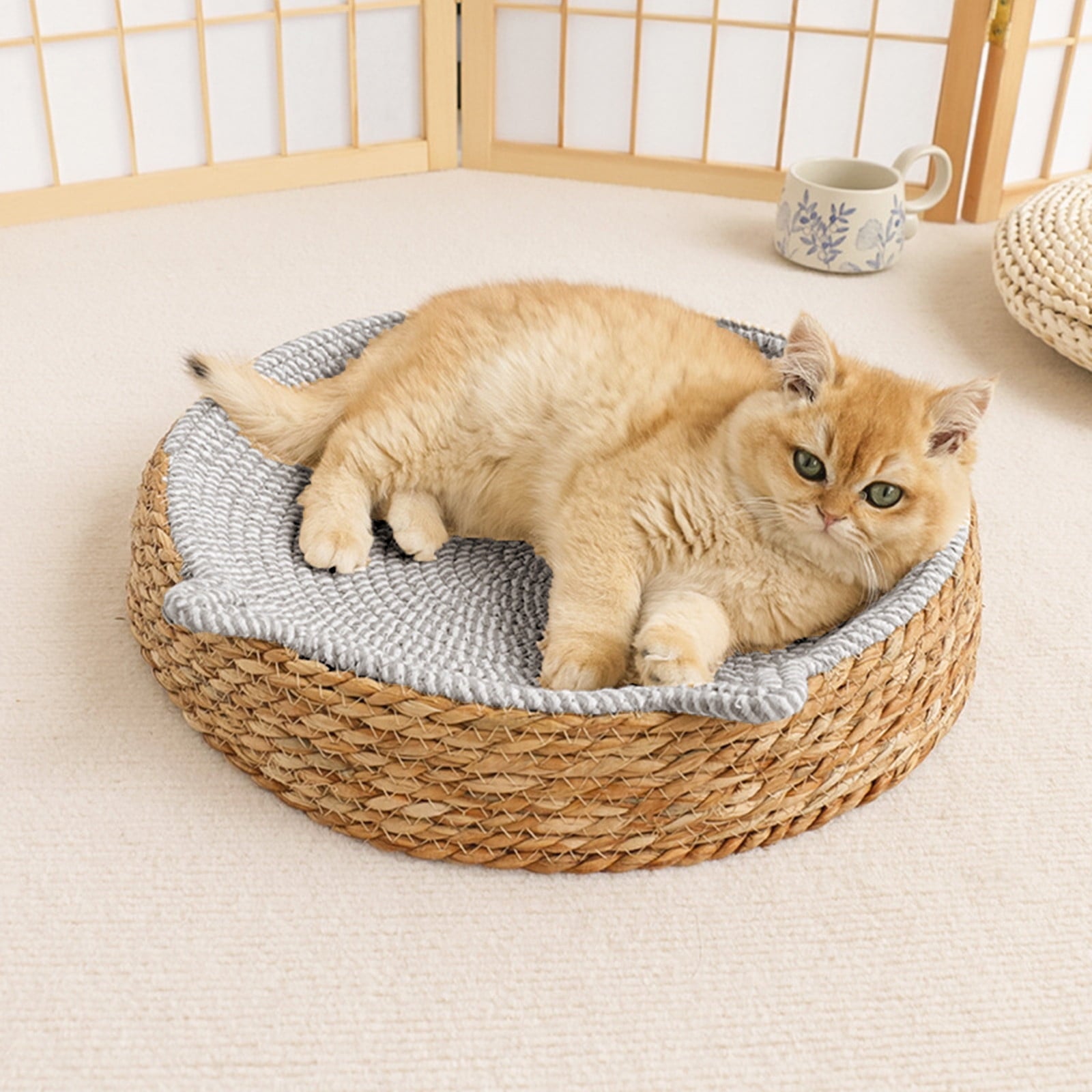 Clearance Dog Bed Medium Size Dogs, Cat Beds for Indoor Cats, Pet Bed for Puppy and Kitty, Washable, Extra , Anti-Slip Bottom
