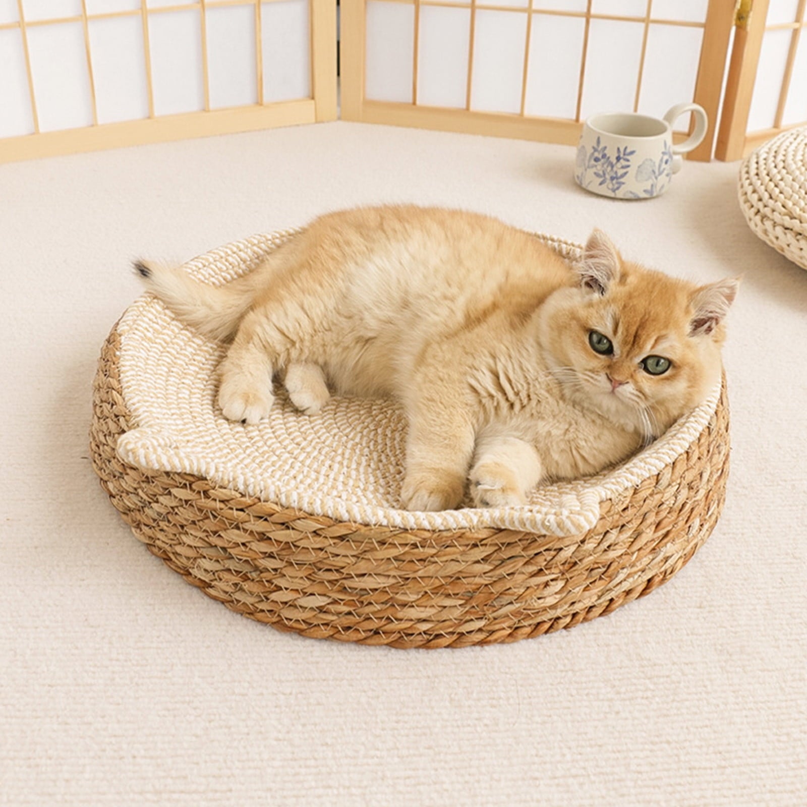 Clearance Dog Bed Medium Size Dogs, Cat Beds for Indoor Cats, Pet Bed for Puppy and Kitty, Washable, Extra , Anti-Slip Bottom