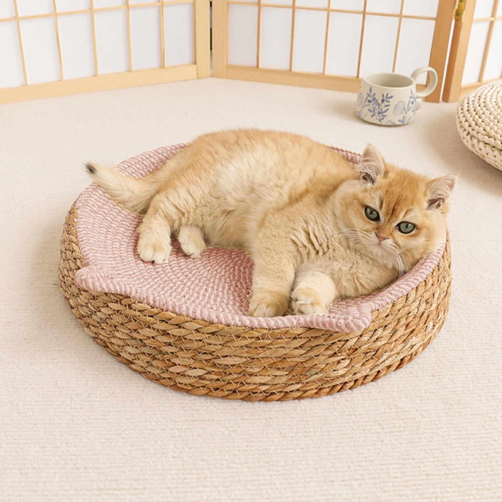 Clearance Dog Bed Medium Size Dogs, Cat Beds for Indoor Cats, Pet Bed for Puppy and Kitty, Washable, Extra , Anti-Slip Bottom