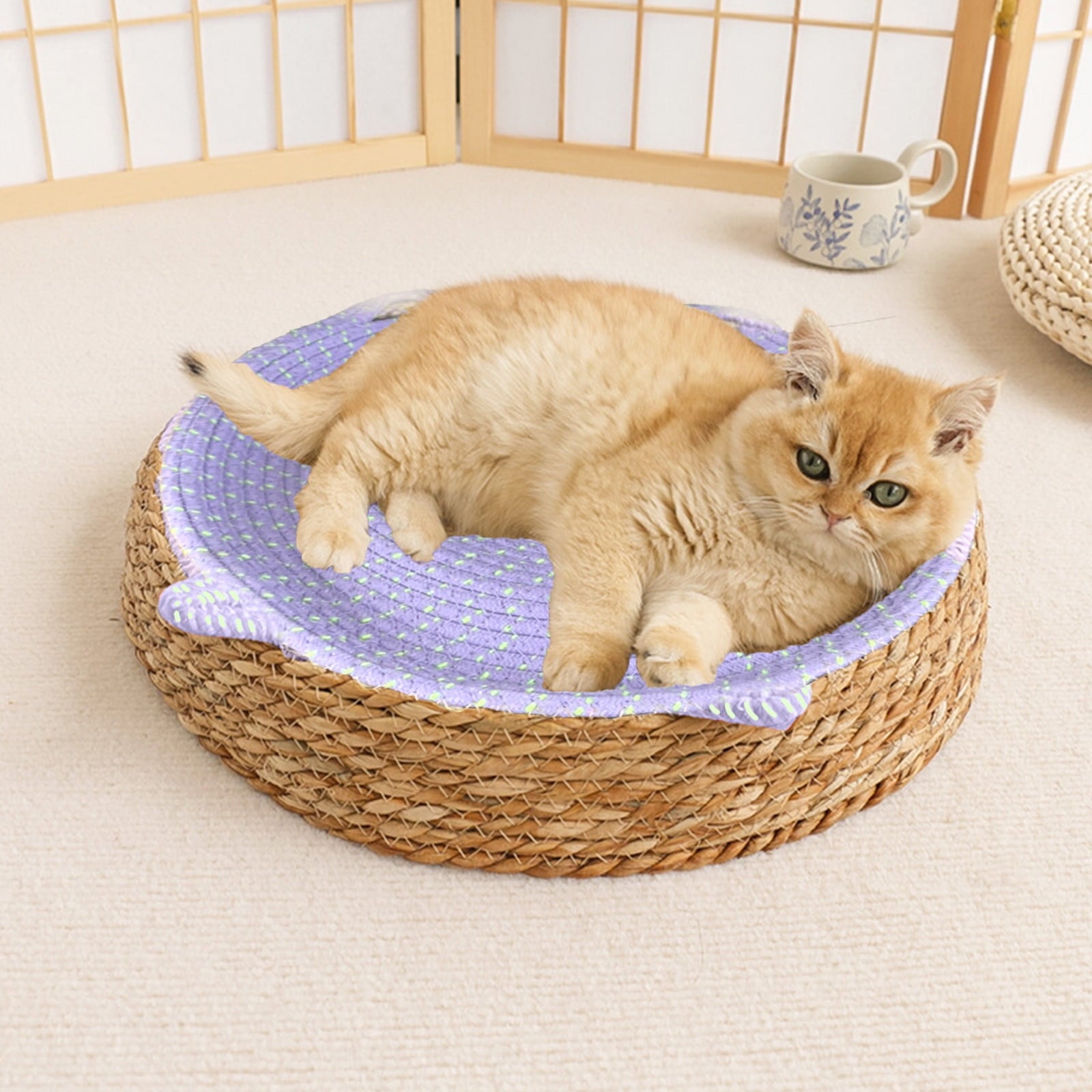 Clearance Dog Bed Medium Size Dogs, Cat Beds for Indoor Cats, Pet Bed for Puppy and Kitty, Washable, Extra , Anti-Slip Bottom