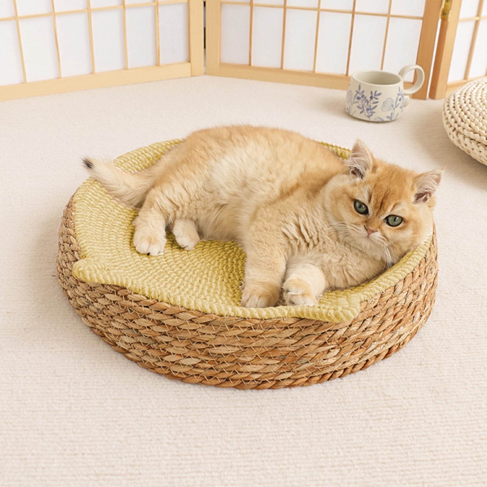 Clearance Dog Bed Medium Size Dogs, Cat Beds for Indoor Cats, Pet Bed for Puppy and Kitty, Washable, Extra , Anti-Slip Bottom