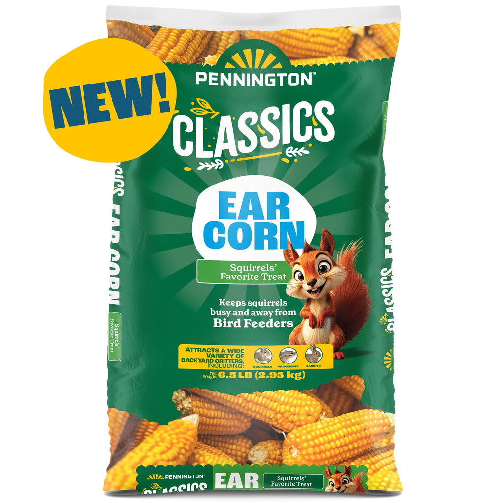 Classic Whole Ear Corn, Squirrel and Critter Feed, 6.5 lb. Bag, Dry, 1 Pack