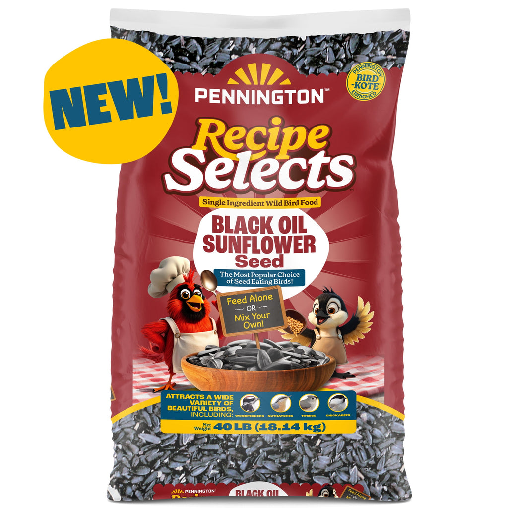 Recipe Selects Black Oil Sunflower Seed Dry Wild Bird Feed, Bird Food, 40 lb. Bag, 1 Pack