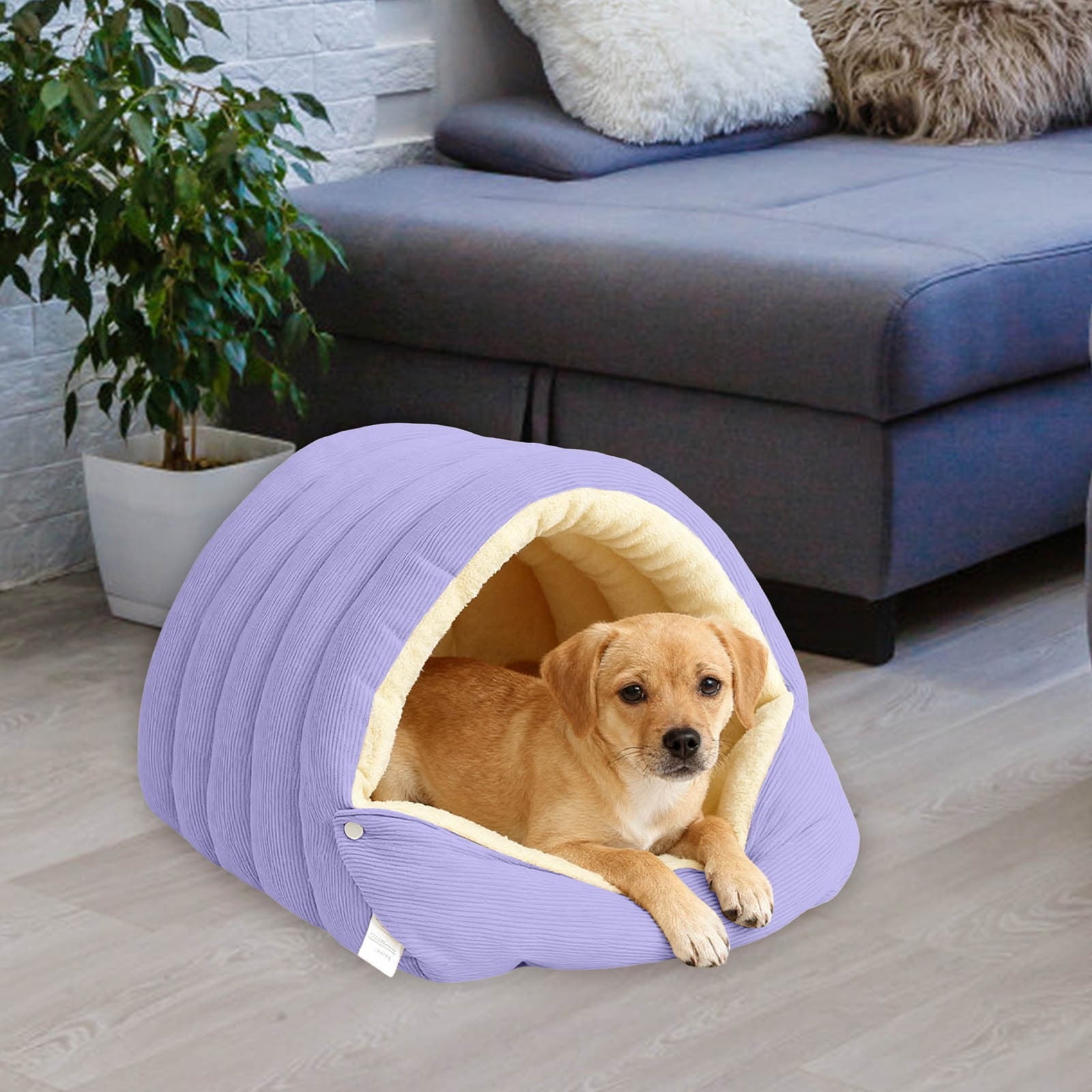 Winter Small Pet Bed - Washable Semi-Enclosed Cat/Dog Bed, Dual-Purpose (Open/Closed), Wear-Resistant Cloth, Fits Pets Under 5 lbs, Green, Compact 18.9x11.8x7.87in
