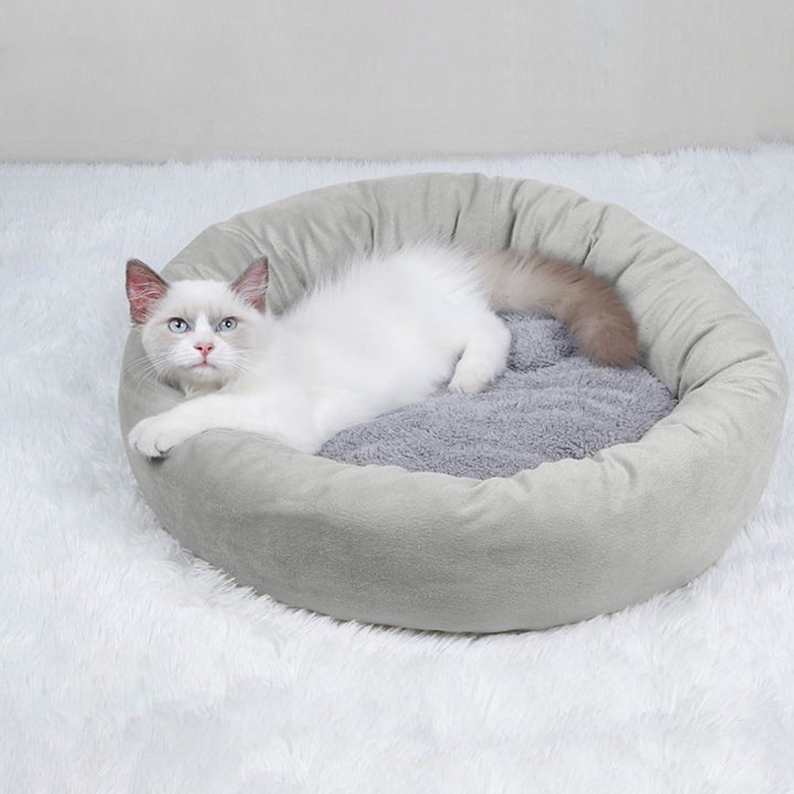 Cat Bed Large Clearance Removable Washable Pet Beds Pet Bed for Puppy and Kitten