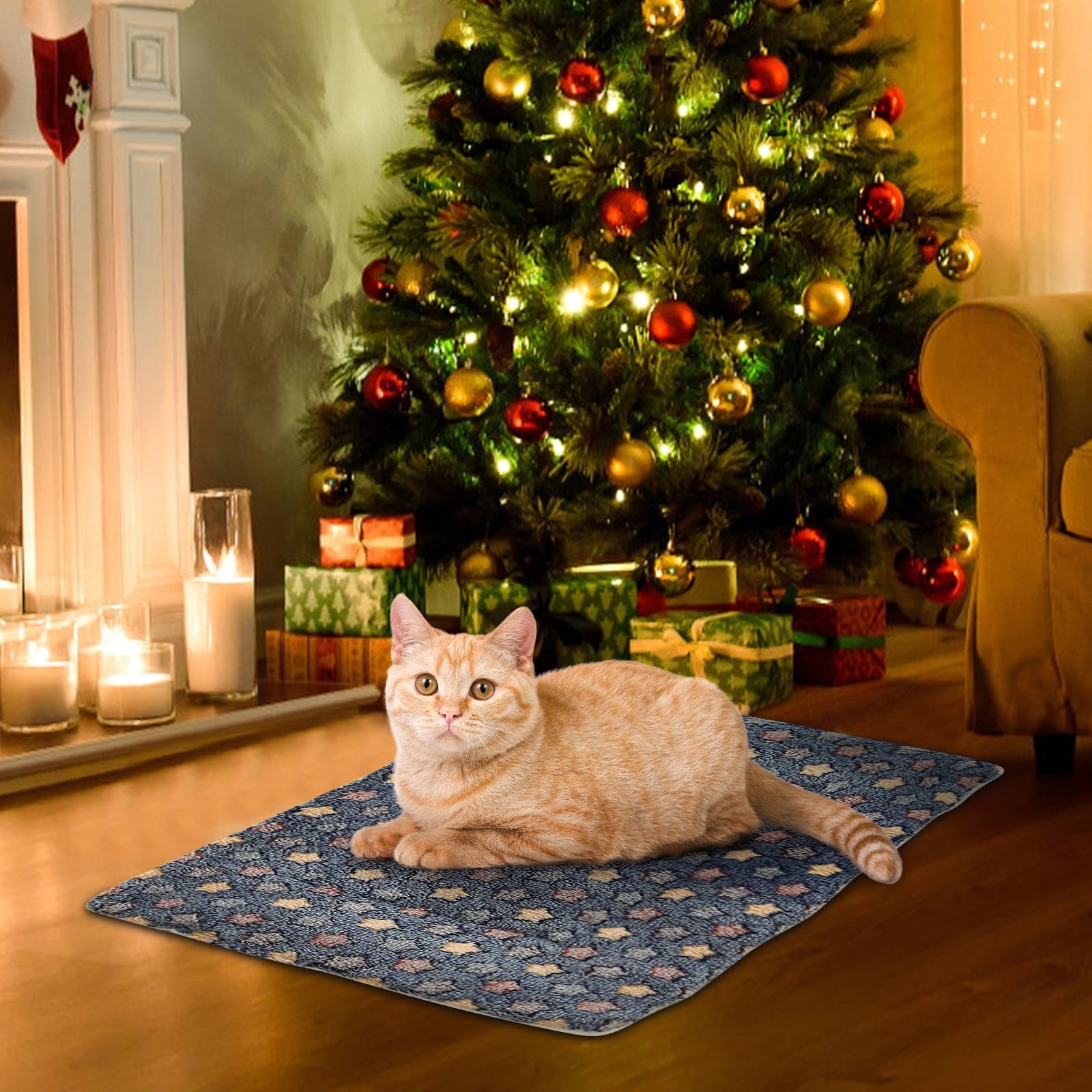Cats Bed Cats Cushion Winter Thick Mattress Pet Sleeping Pad Indoor Cats Bed Comfy Pet Bed Suitable for Small Cats and Dogs 16.2x9.8in