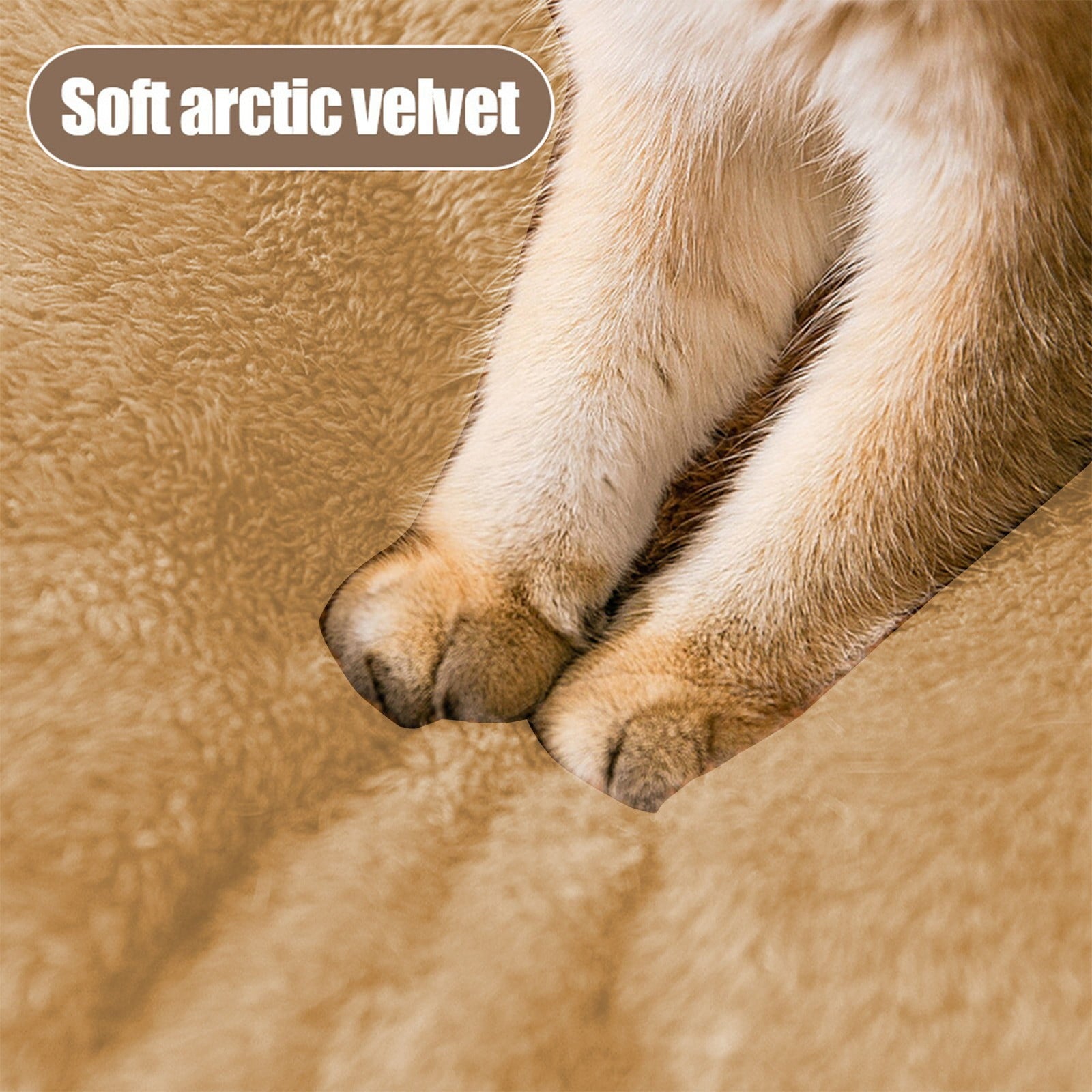 Clearance Dog Bed Medium Size Dogs, Cat Beds for Indoor Cats, Pet Bed for Puppy and Kitty, Washable, Extra , Anti-Slip Bottom