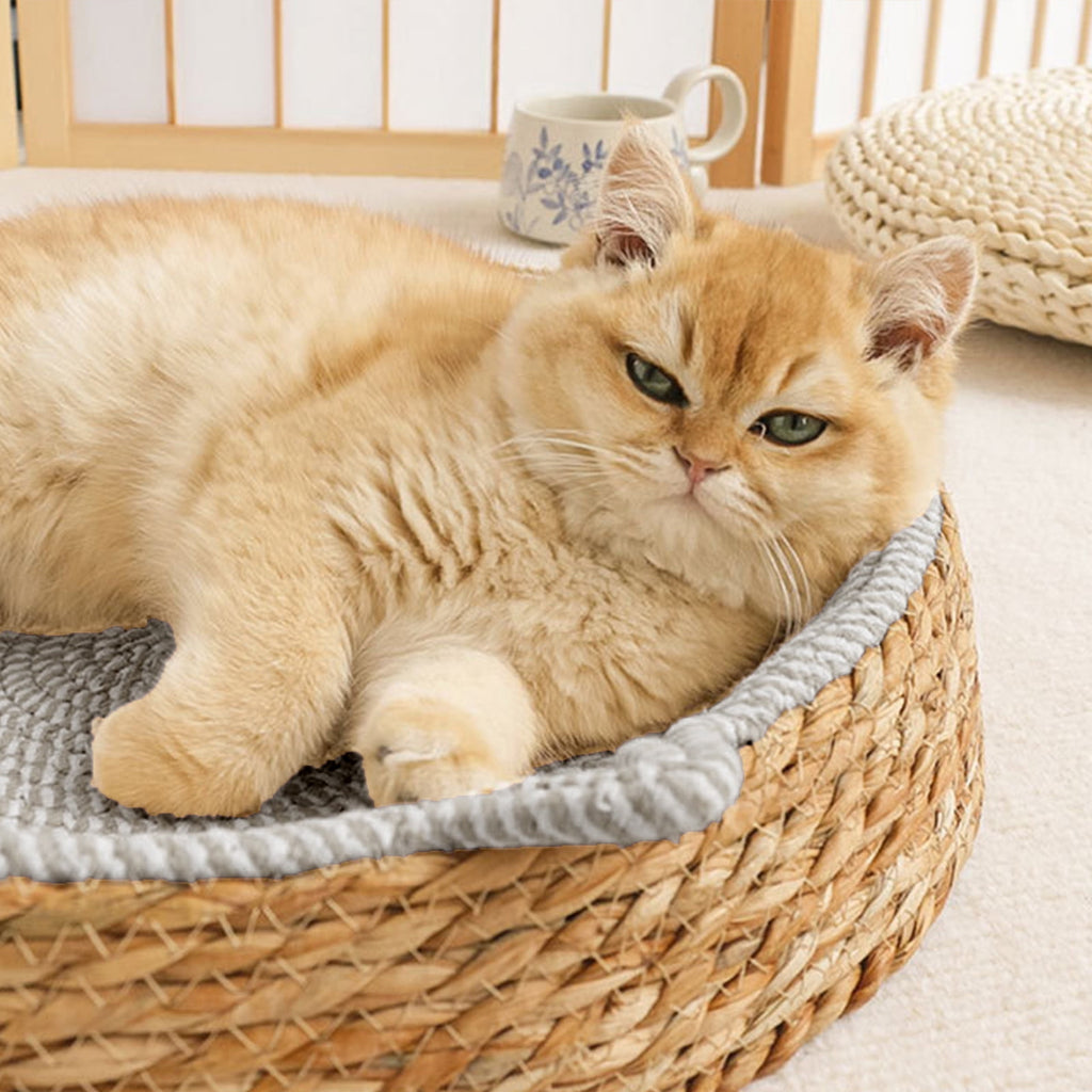 Clearance Dog Bed Medium Size Dogs, Cat Beds for Indoor Cats, Pet Bed for Puppy and Kitty, Washable, Extra , Anti-Slip Bottom