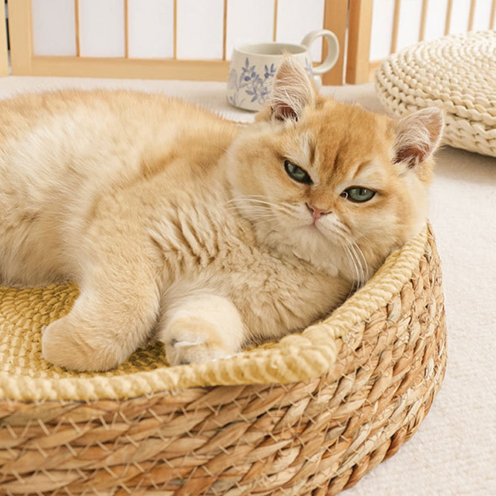 Clearance Dog Bed Medium Size Dogs, Cat Beds for Indoor Cats, Pet Bed for Puppy and Kitty, Washable, Extra , Anti-Slip Bottom