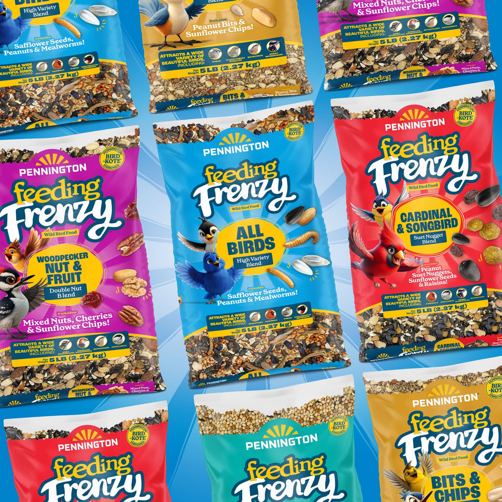 Feeding Frenzy Wild Bird Seeds, Wild Bird Food Mix, 5 lb.