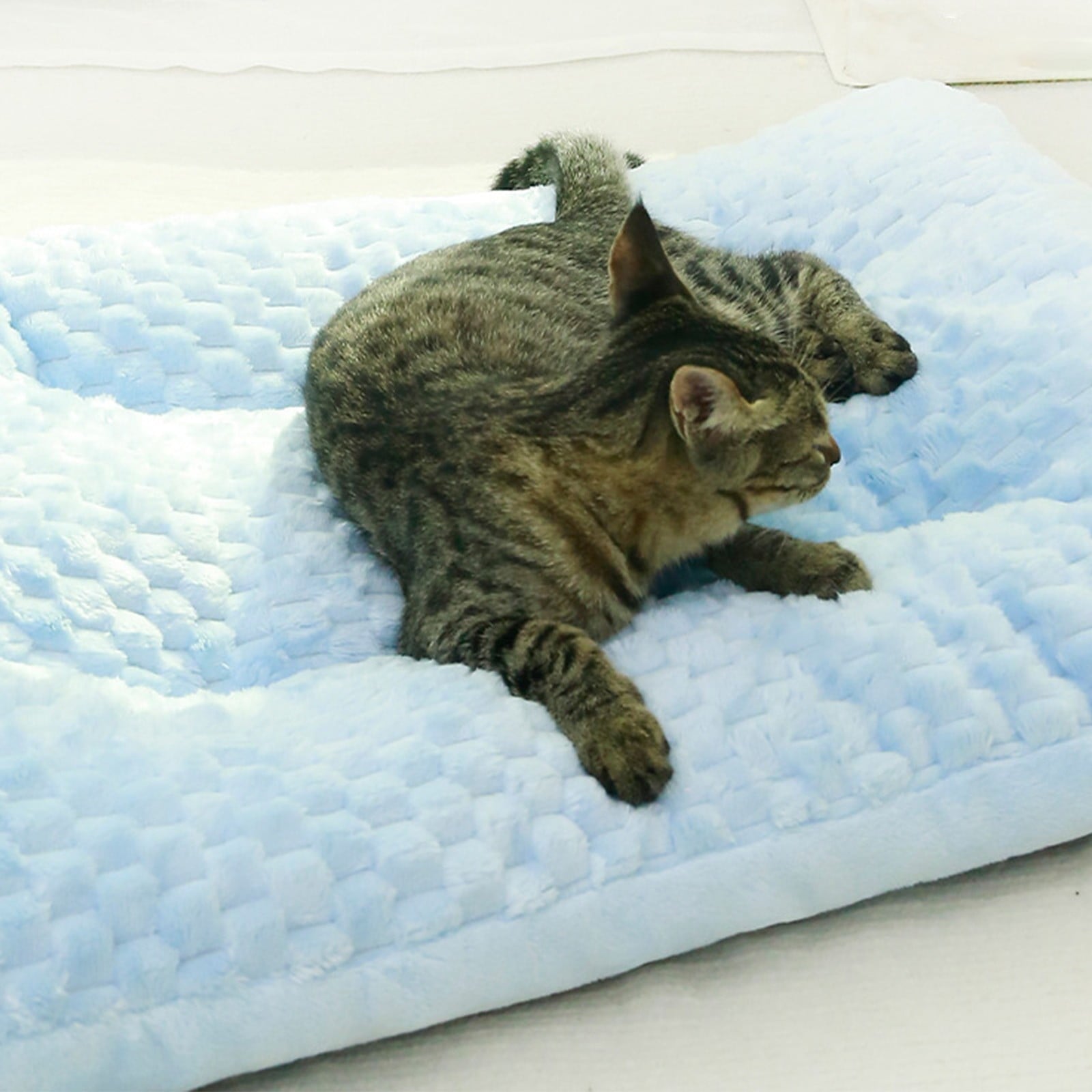 Pet Mat – Thickened Dark Sleep Bed for Small Dogs &amp; Cats