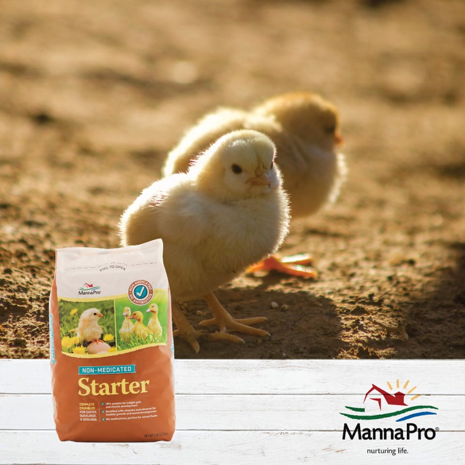 Chick Starter Non-Medicated Poultry Feed - 1 Bag - 5 lb.