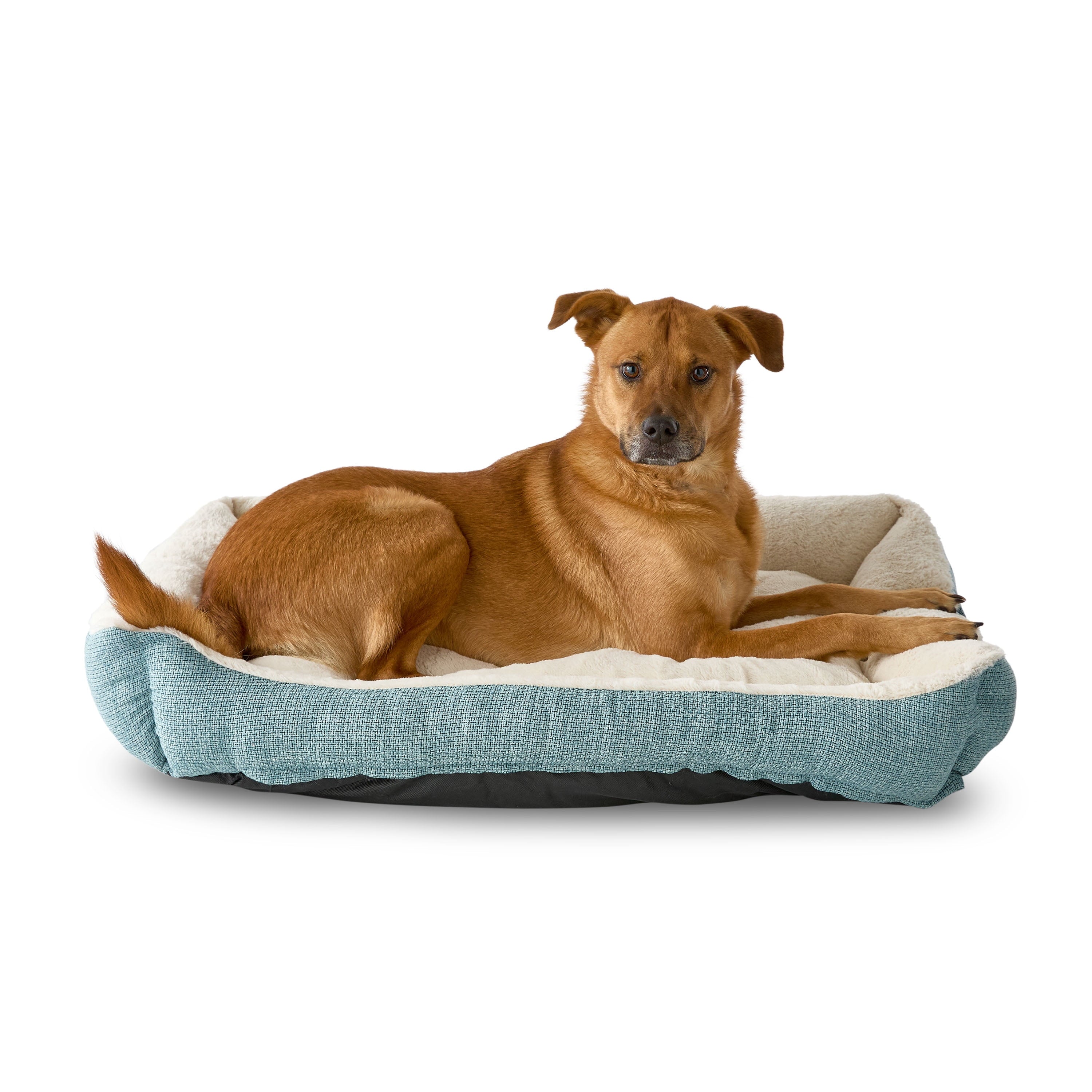 Small Luxe Cuddler Dog Bed, Blue, 17" x 21"