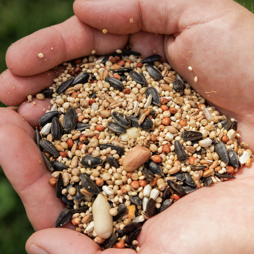Feeding Frenzy Wild Bird Seeds, Wild Bird Food Mix, 5 lb.