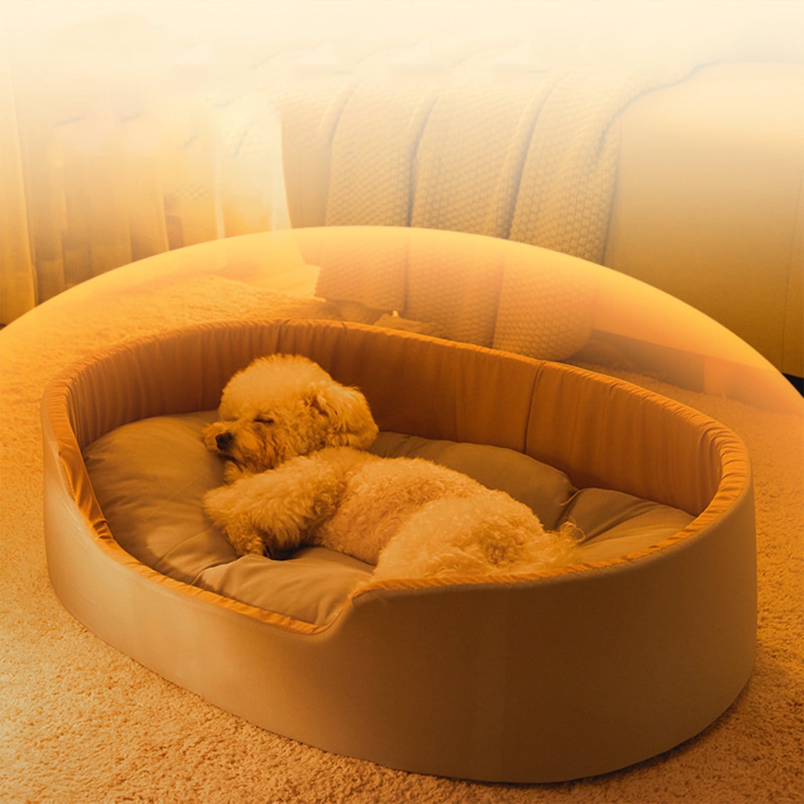 Clearance Dog Bed Medium Size Dogs, Cat Beds for Indoor Cats, Pet Bed for Puppy and Kitty, Washable, Extra , Anti-Slip Bottom