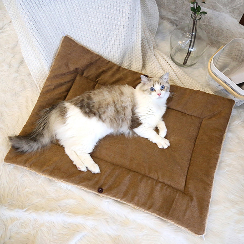 Clearance Dog Bed Medium Size Dogs, Cat Beds for Indoor Cats, Pet Bed for Puppy and Kitty, Washable, Extra , Anti-Slip Bottom