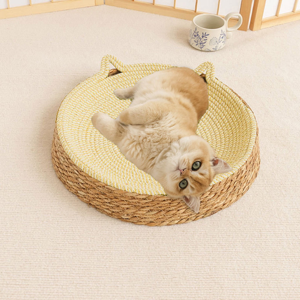 Clearance Dog Bed Medium Size Dogs, Cat Beds for Indoor Cats, Pet Bed for Puppy and Kitty, Washable, Extra , Anti-Slip Bottom