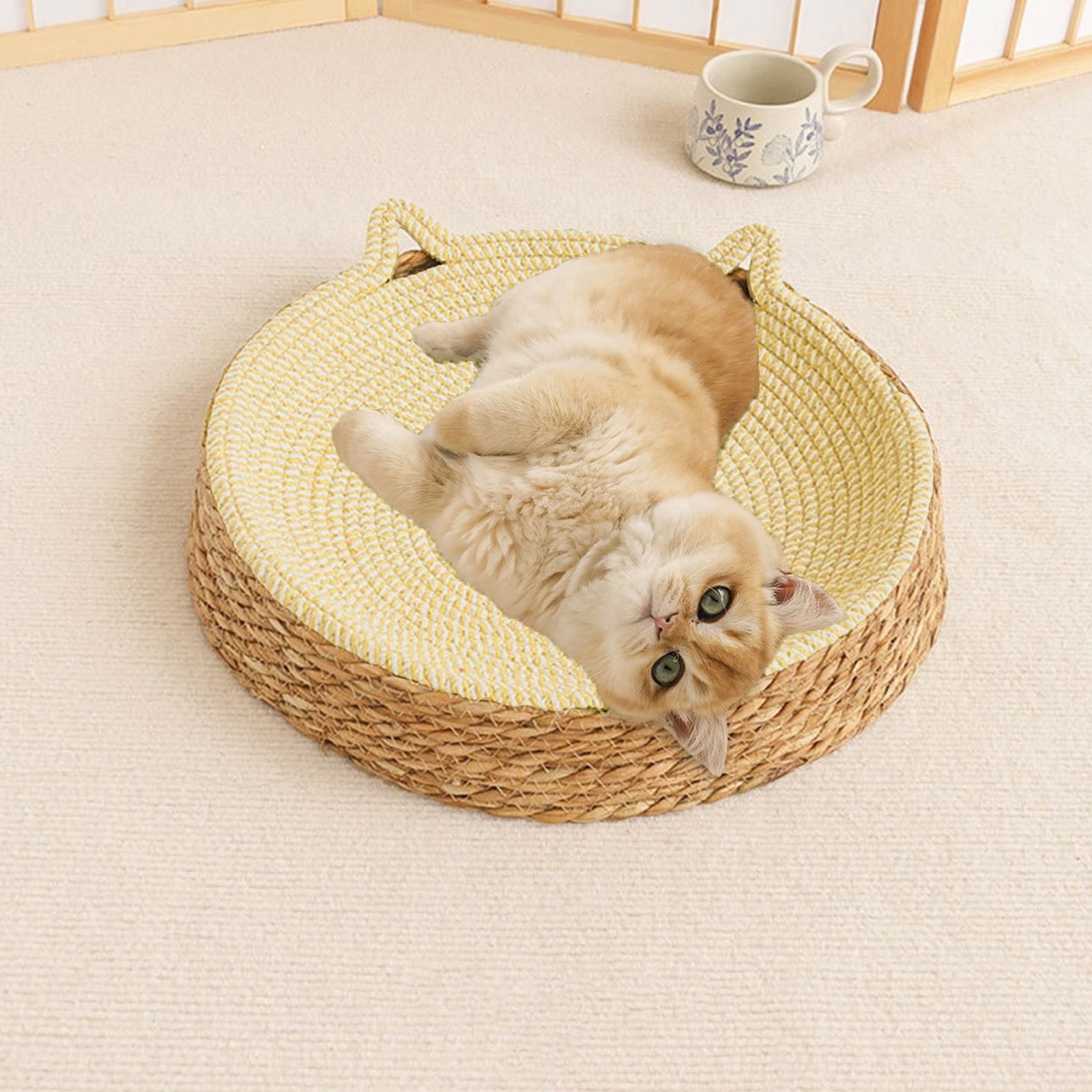 Clearance Dog Bed Medium Size Dogs, Cat Beds for Indoor Cats, Pet Bed for Puppy and Kitty, Washable, Extra , Anti-Slip Bottom