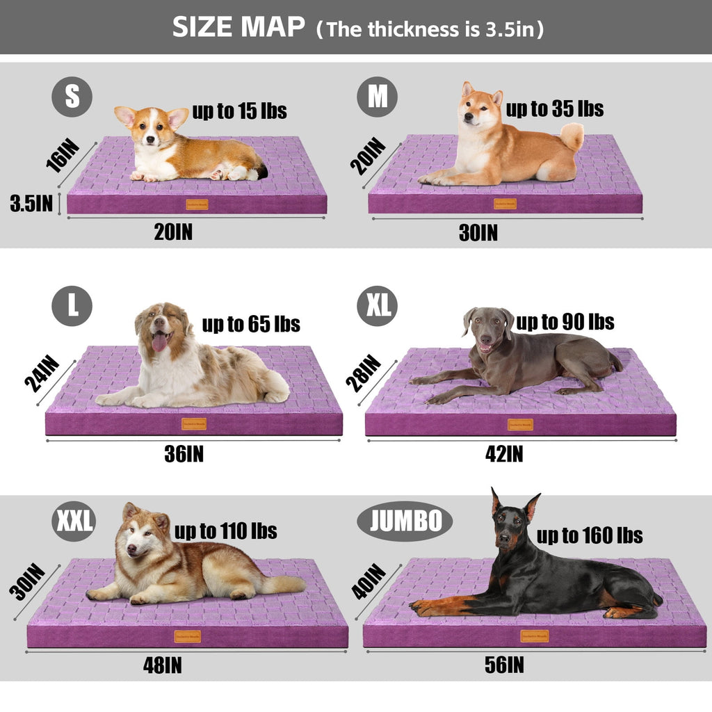 Checkered Pet Bed for Medium Dogs 36"X24", Removable Washable Cover, Black