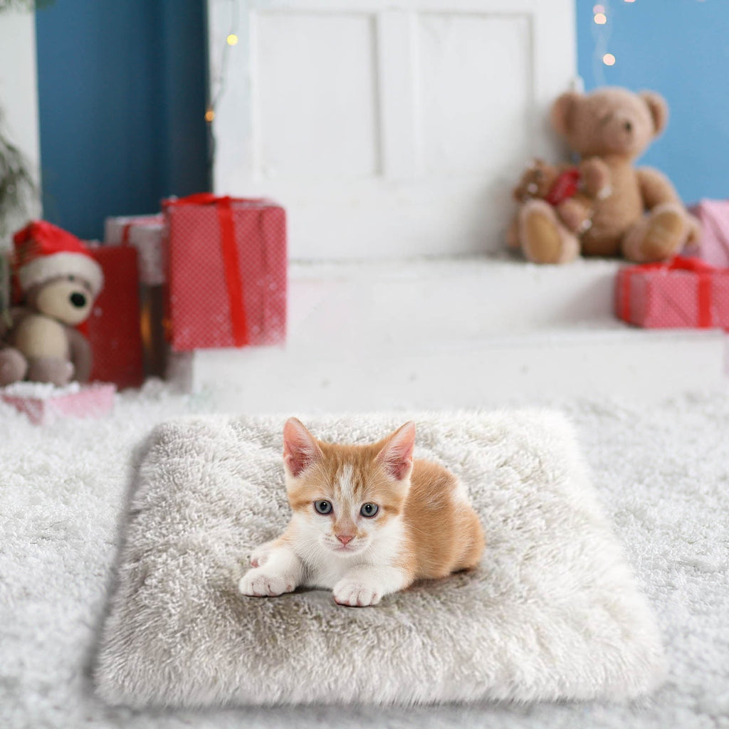 Dog Bed for Small Dogs, Pet Bed for Dogs Cats, , and , for Home, Indoor/Outdoor Use