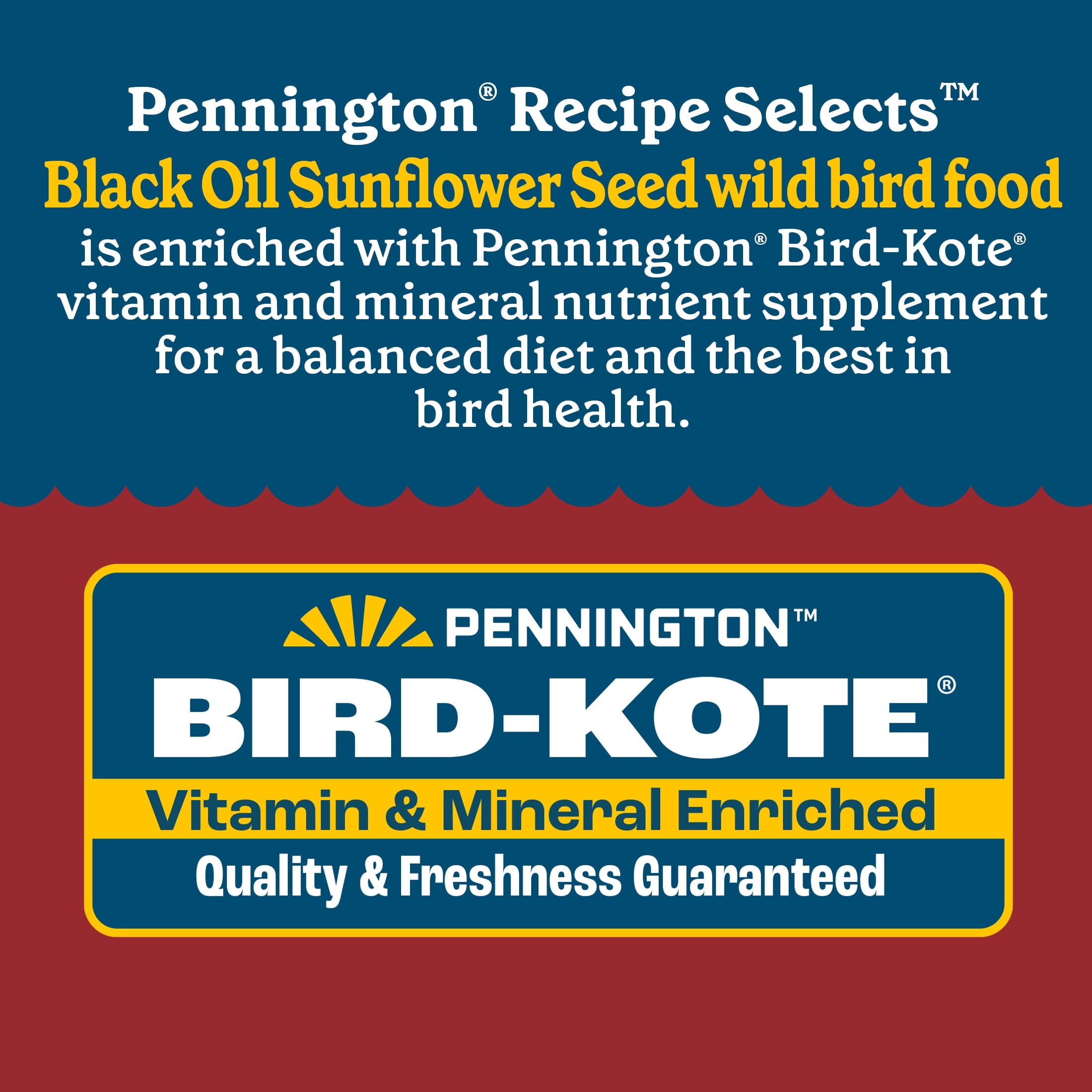 Recipe Selects Black Oil Sunflower Seed Dry Wild Bird Feed, Bird Food, 40 lb. Bag, 1 Pack