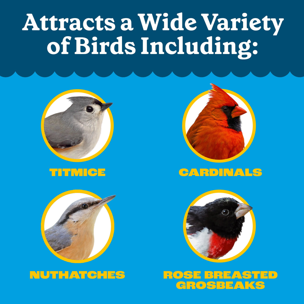 Feeding Frenzy Wild Bird Seeds, Wild Bird Food Mix, 5 lb.