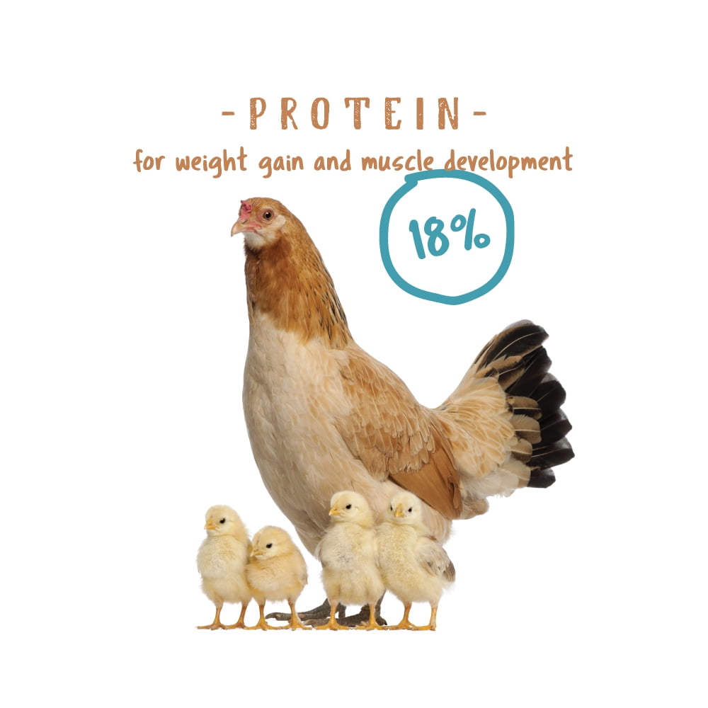 Chick Starter Non-Medicated Poultry Feed - 1 Bag - 5 lb.