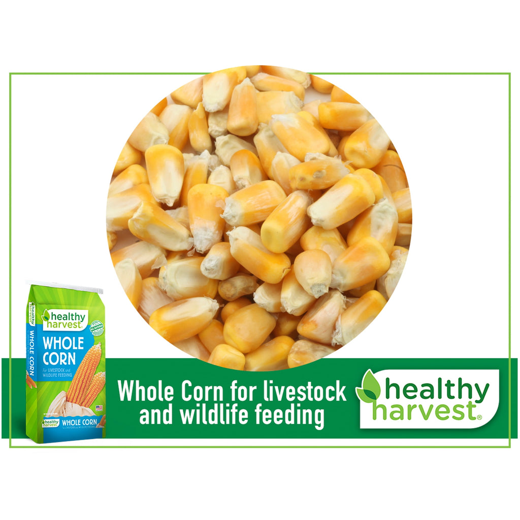 Whole Corn for Feeding Livestock and Poultry, 40 lb Bag