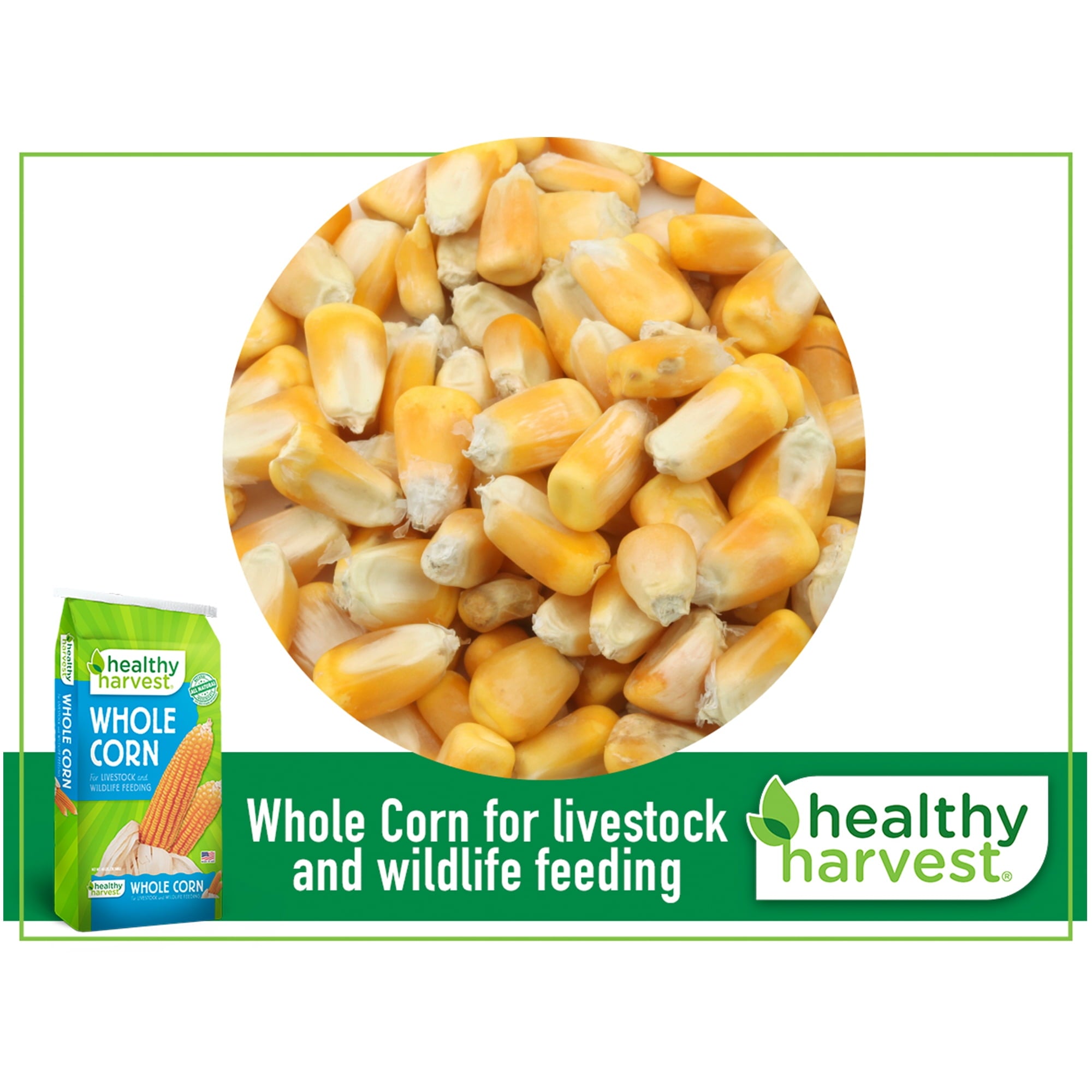 Whole Corn for Feeding Livestock and Poultry, 40 lb Bag