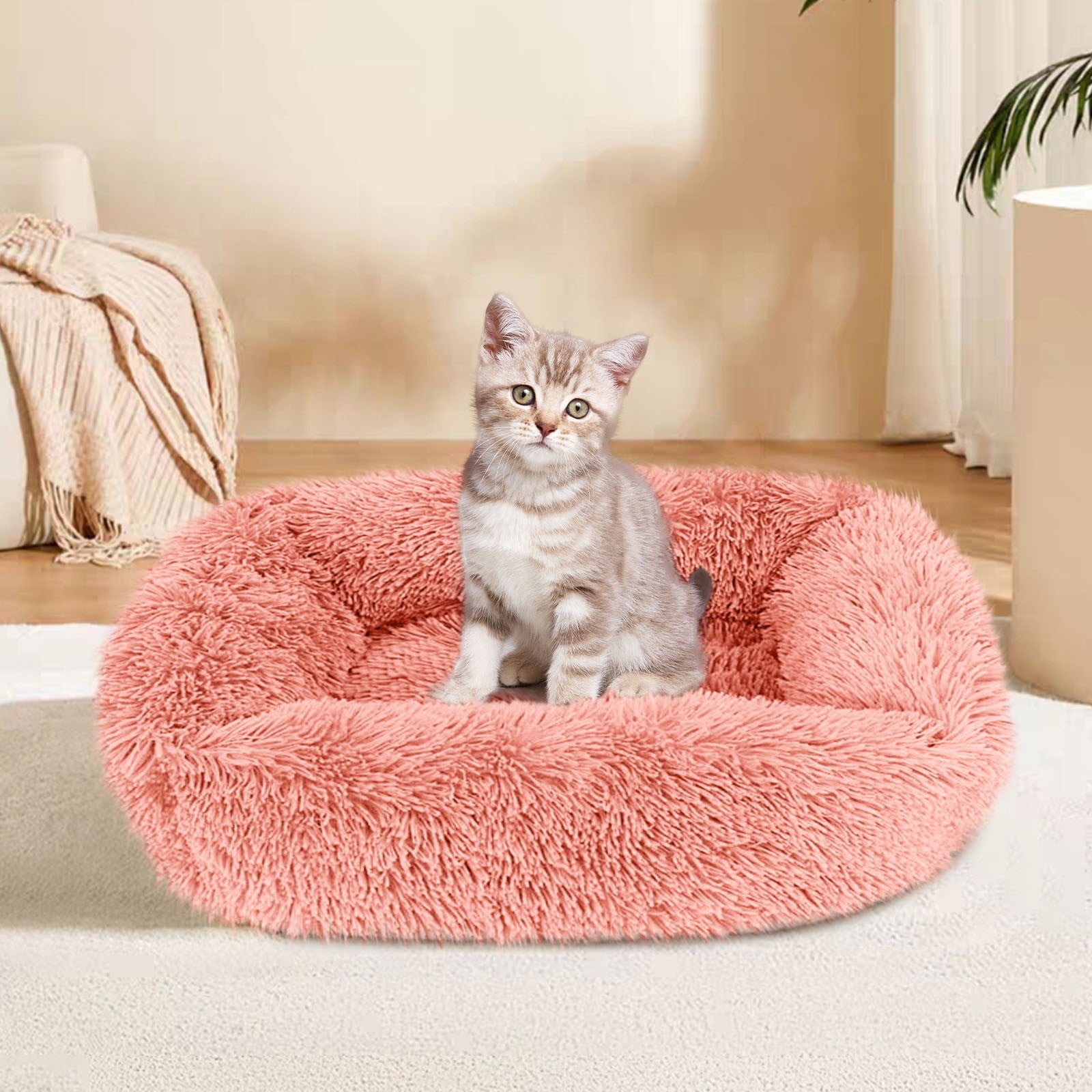 Dog Bed for Large Dogs, Pet Bed for Dogs &amp; Cats: , , and - for Home, Indoor/Outdoor Use