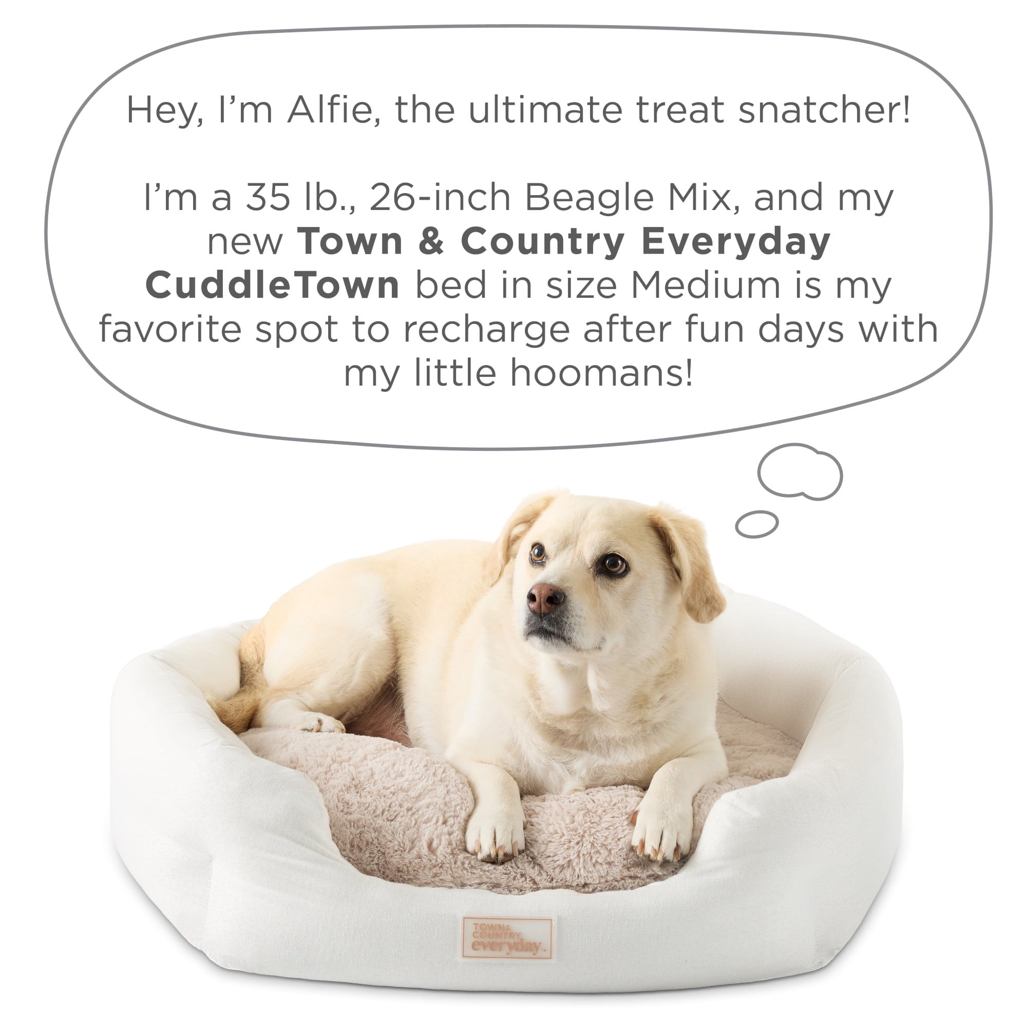 TOWN &amp; COUNTRY EVERYDAY CuddleTown Faux Linen Comfy Cuddler Pet Bed, Supportive &amp; Egg Crate Foam, Water Repellent, Bottom, Cover, Grey, Medium 28"x26"x8"