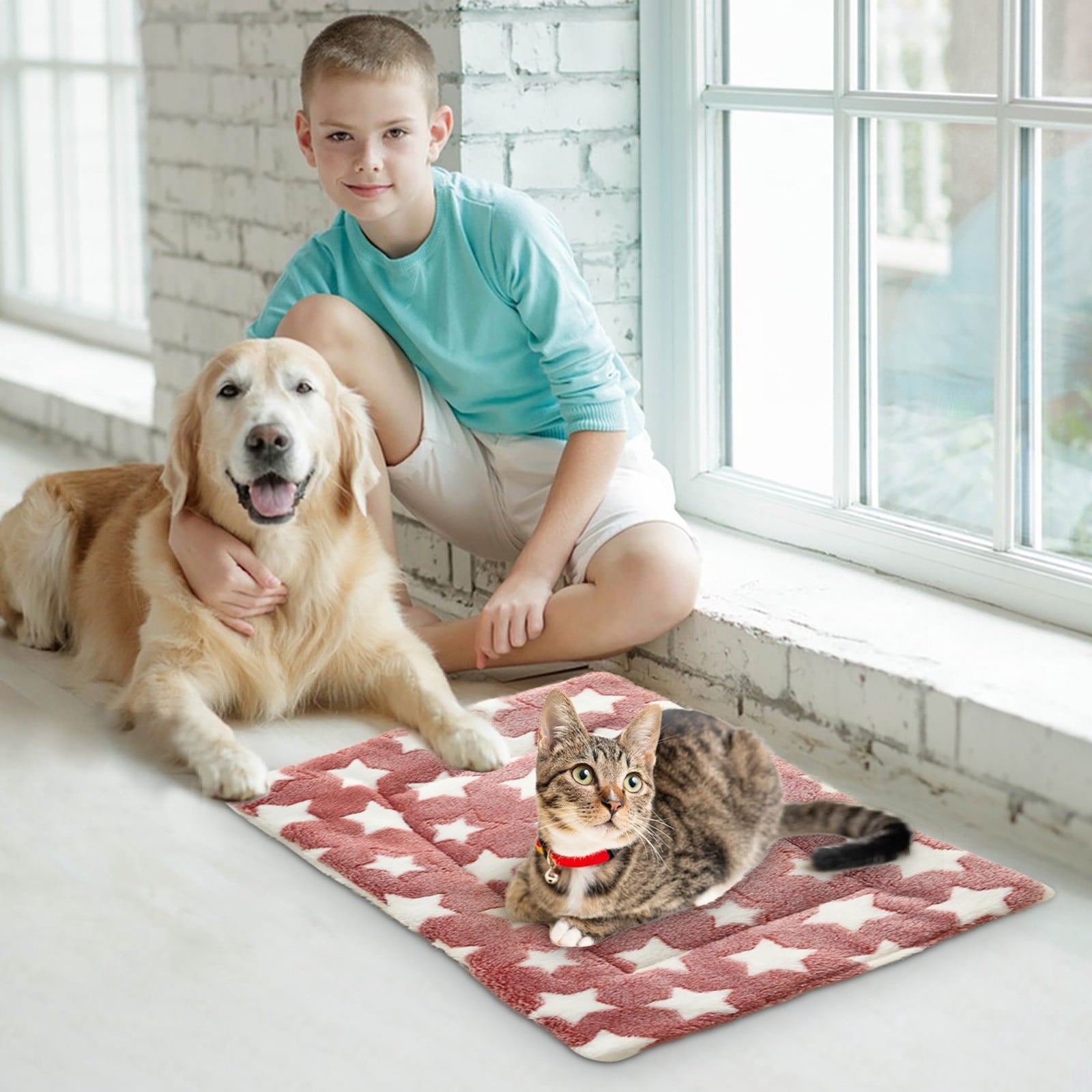 Cats Bed Cats Cushion Winter Thick Mattress Pet Sleeping Pad Indoor Cats Bed Comfy Pet Bed Suitable for Small Cats and Dogs 16.2x9.8in