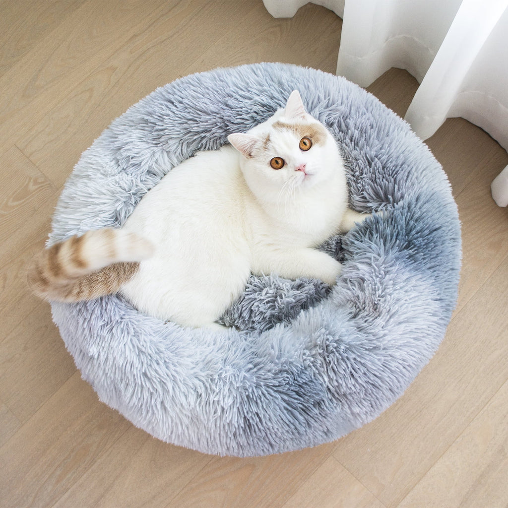 Donut Pet Bed for Small Dogs 20", Plush Warming Dog Bed, Pink Rainbow